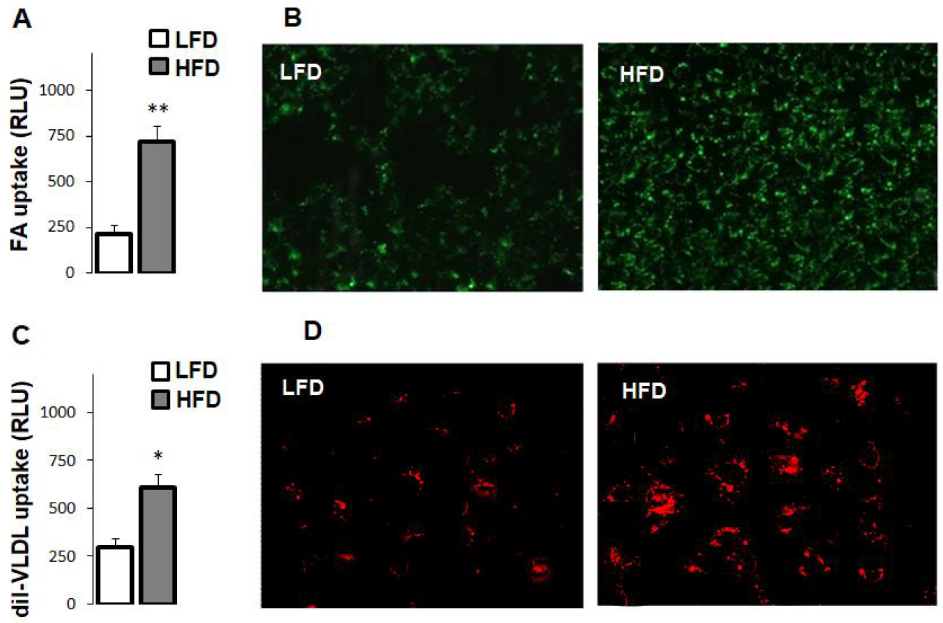 Cells 10 01355 g002 Cells 10 01355 g002