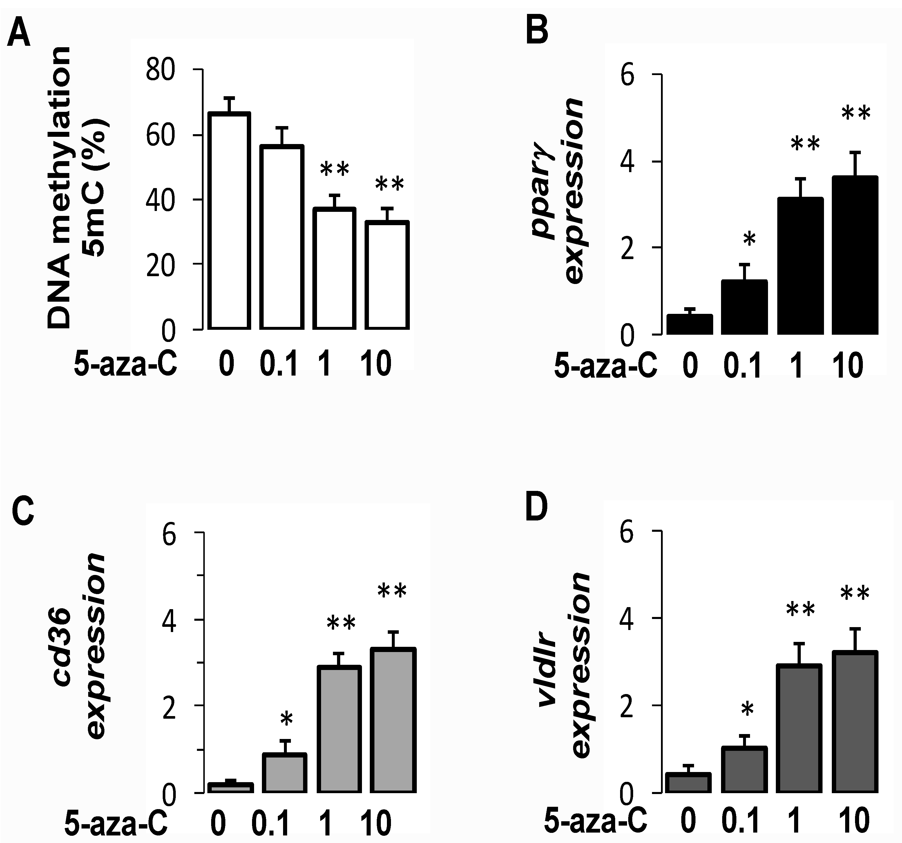 Cells 10 01355 g006 Cells 10 01355 g006