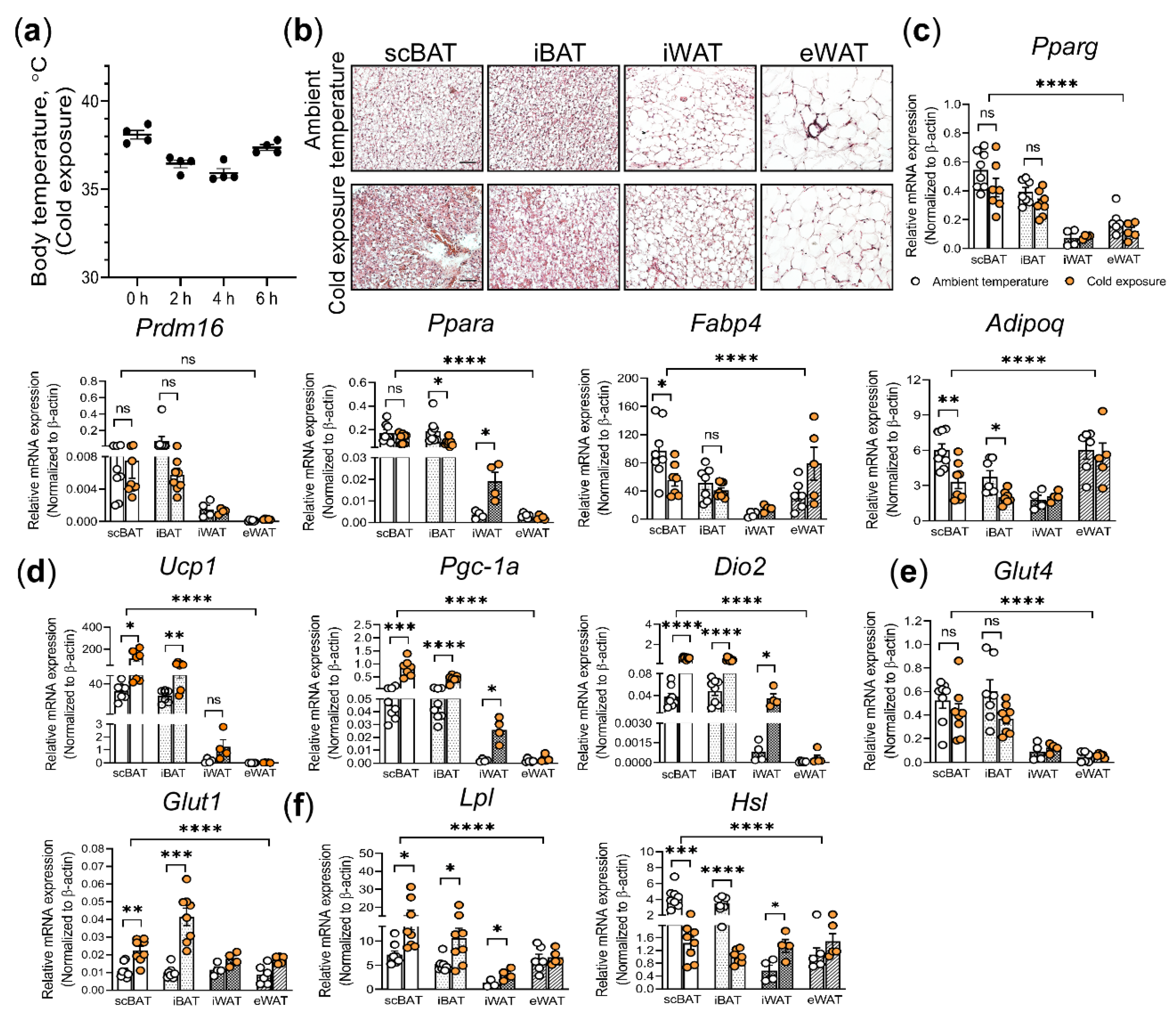 Cells 10 01370 g001 Cells 10 01370 g001