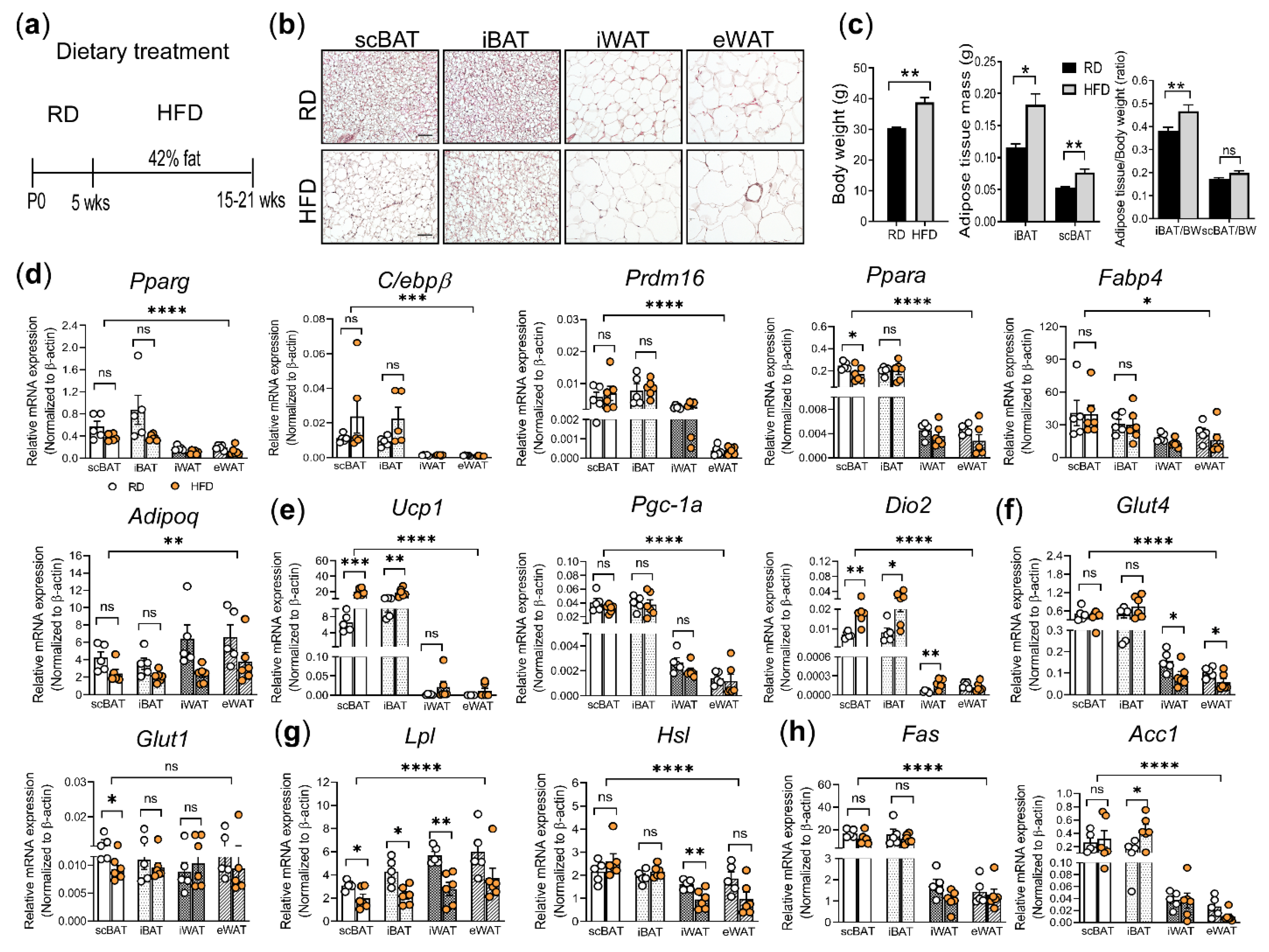 Cells 10 01370 g002 Cells 10 01370 g002