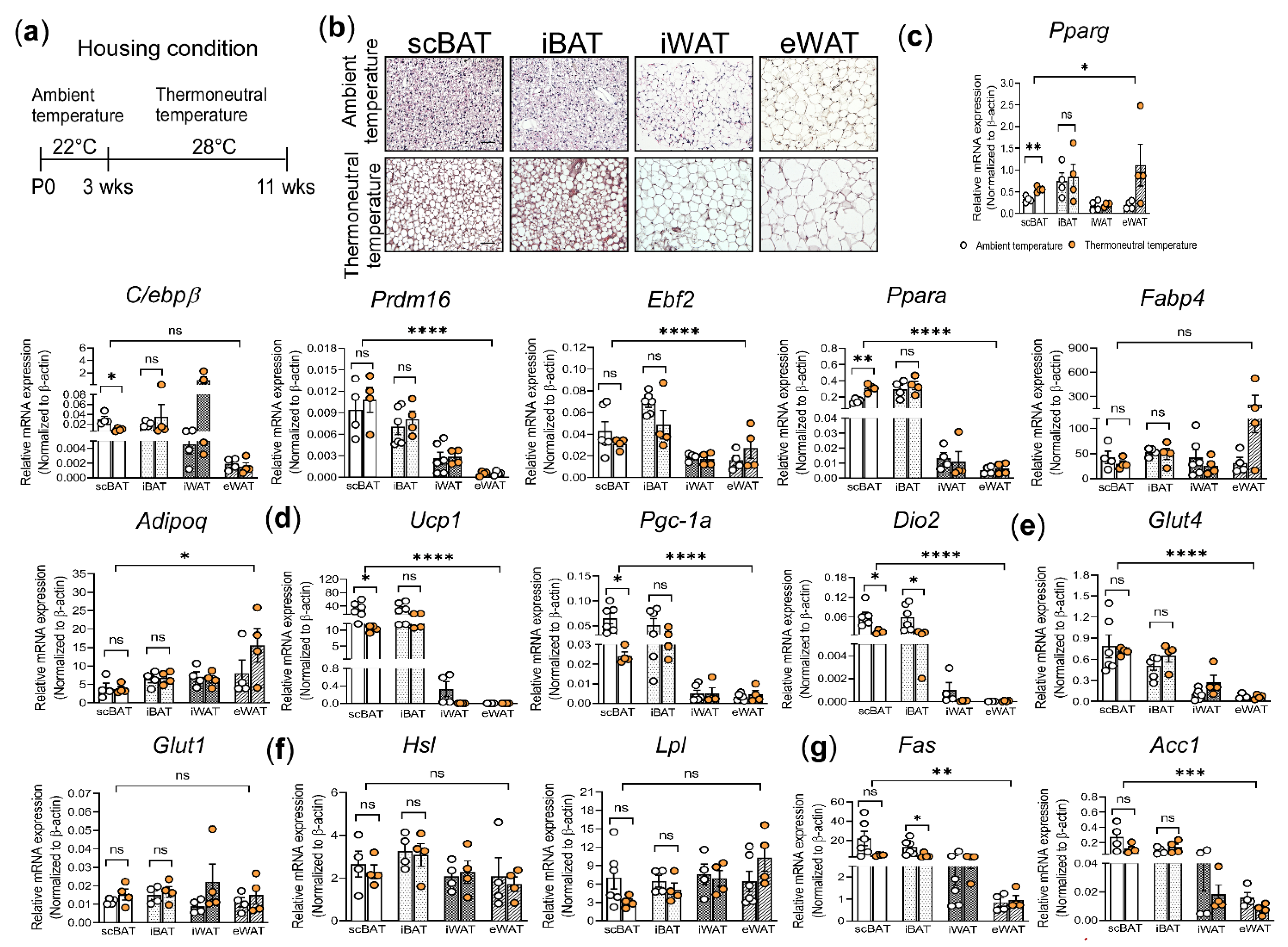 Cells 10 01370 g003 Cells 10 01370 g003