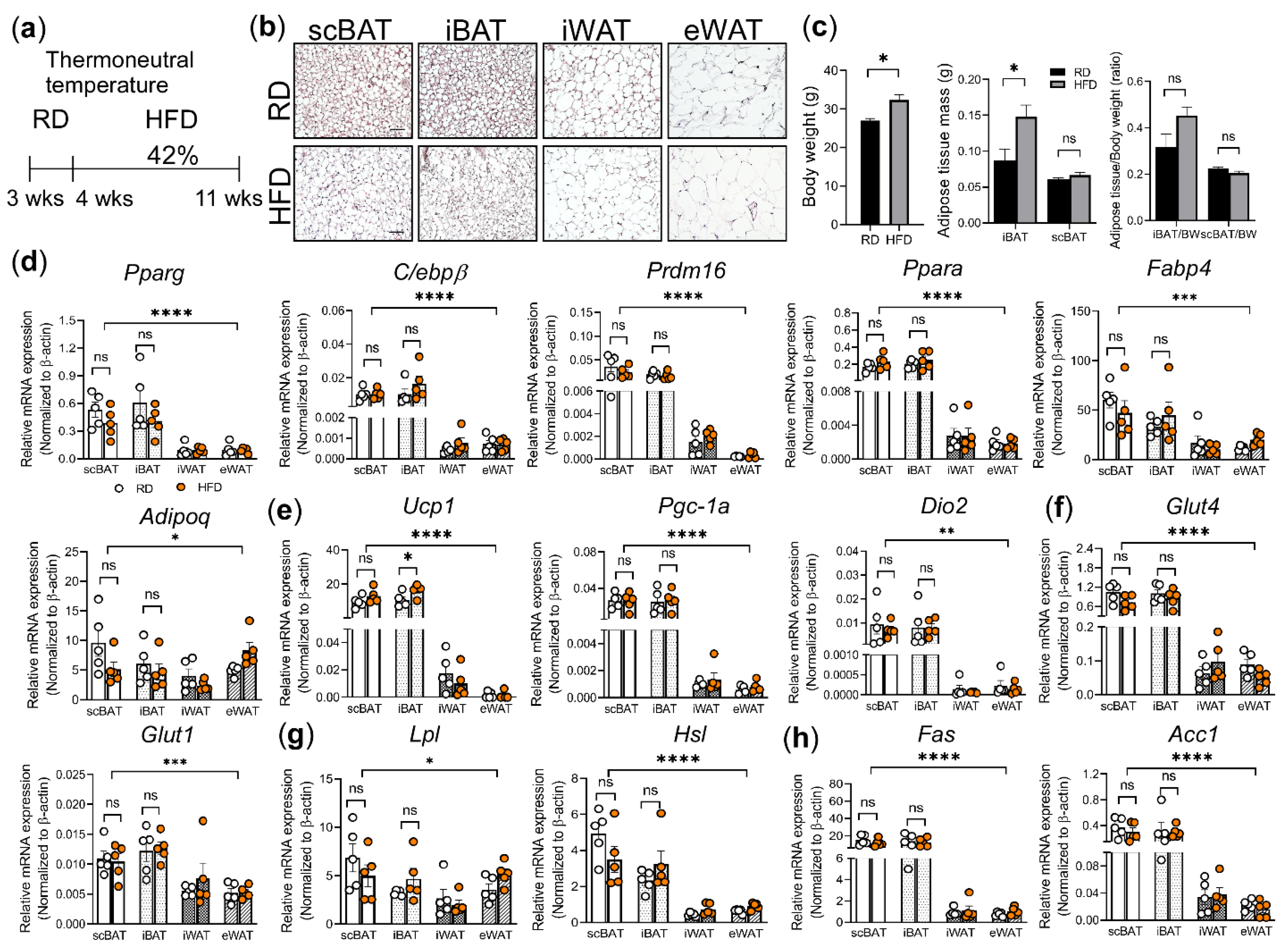 Cells 10 01370 g004 Cells 10 01370 g004