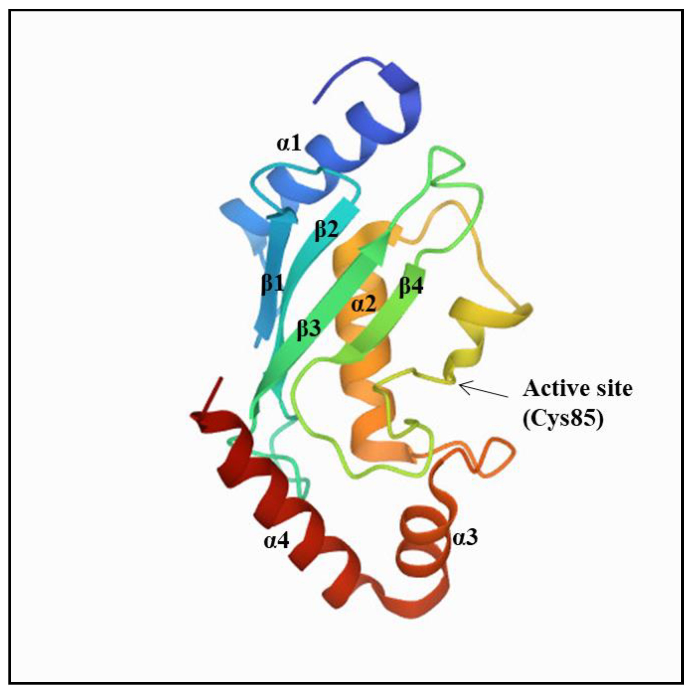 Cells 10 01383 g002 Cells 10 01383 g002