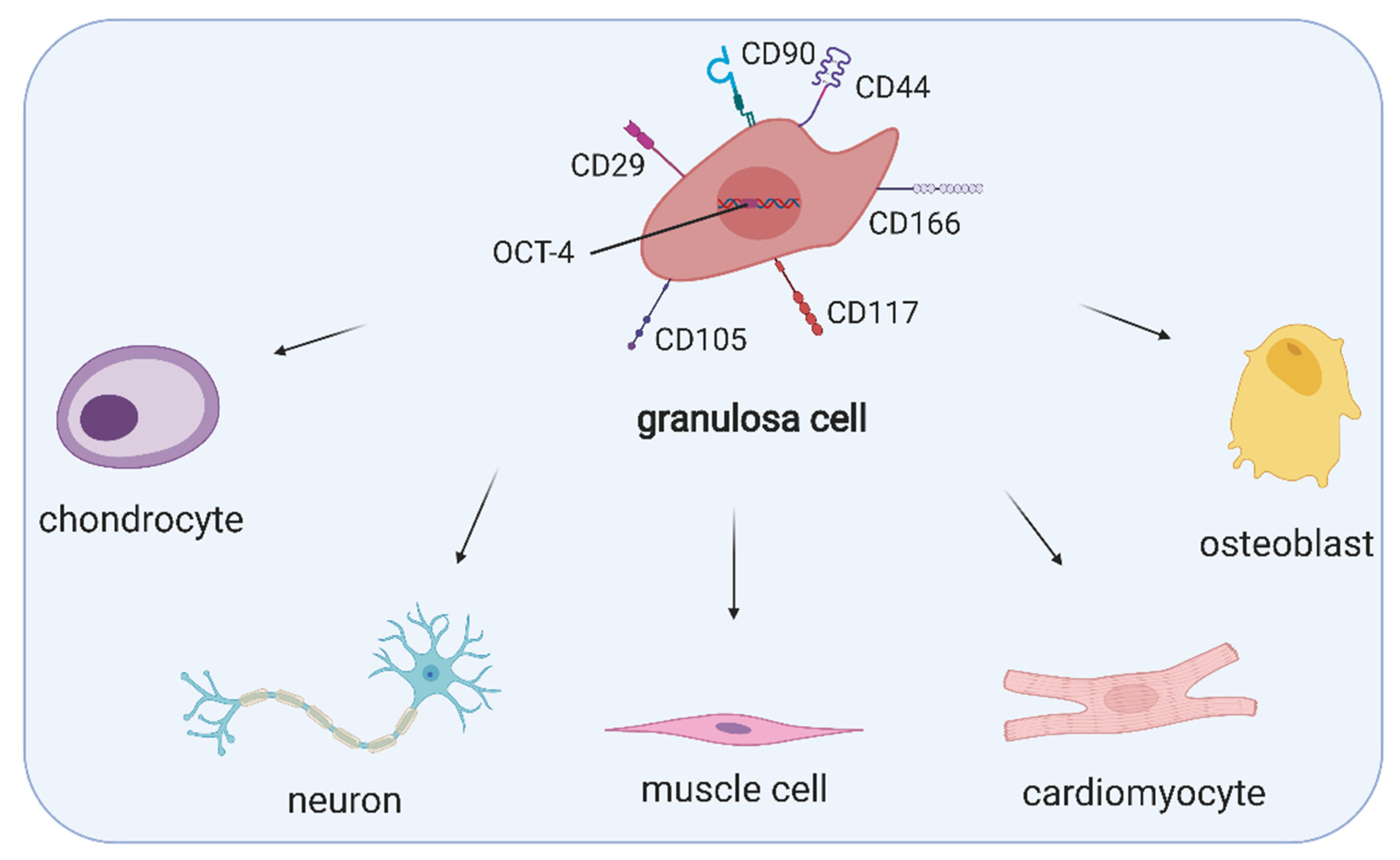 Cells 10 01396 g001 Cells 10 01396 g001