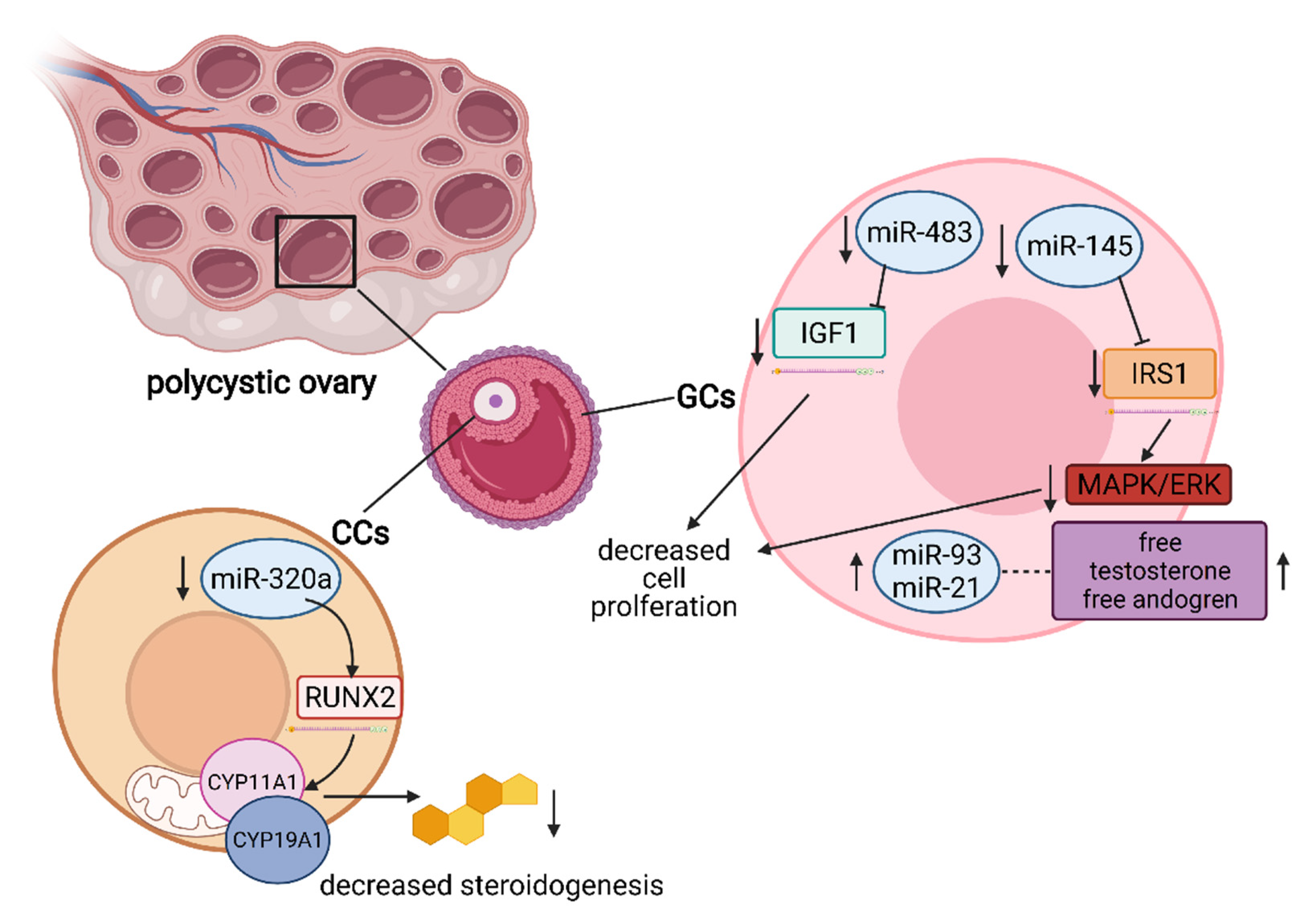 Cells 10 01396 g003 Cells 10 01396 g003