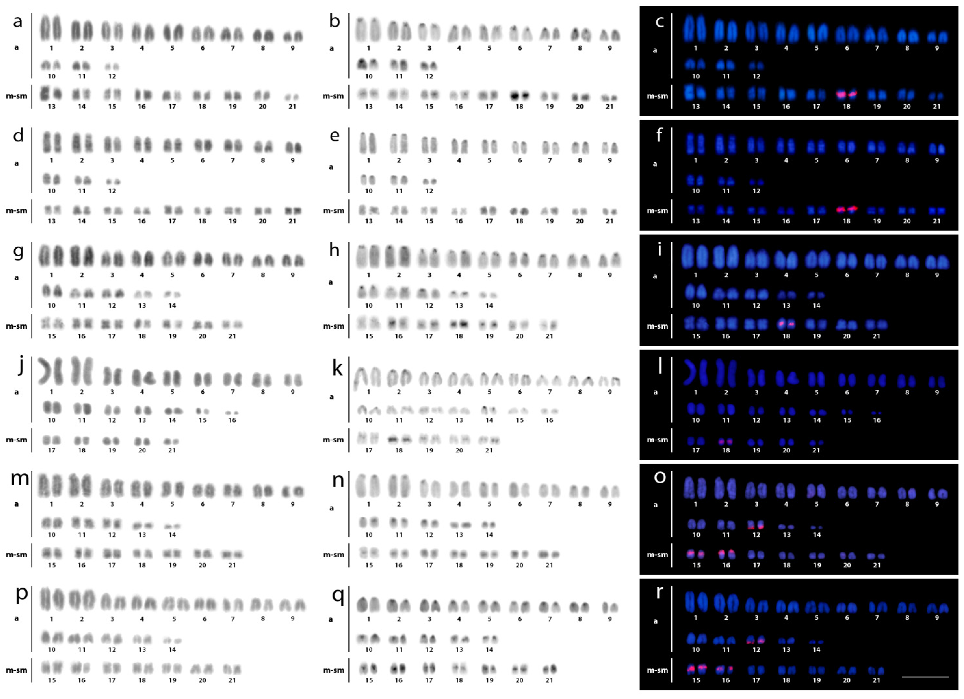Cells 10 01397 g002