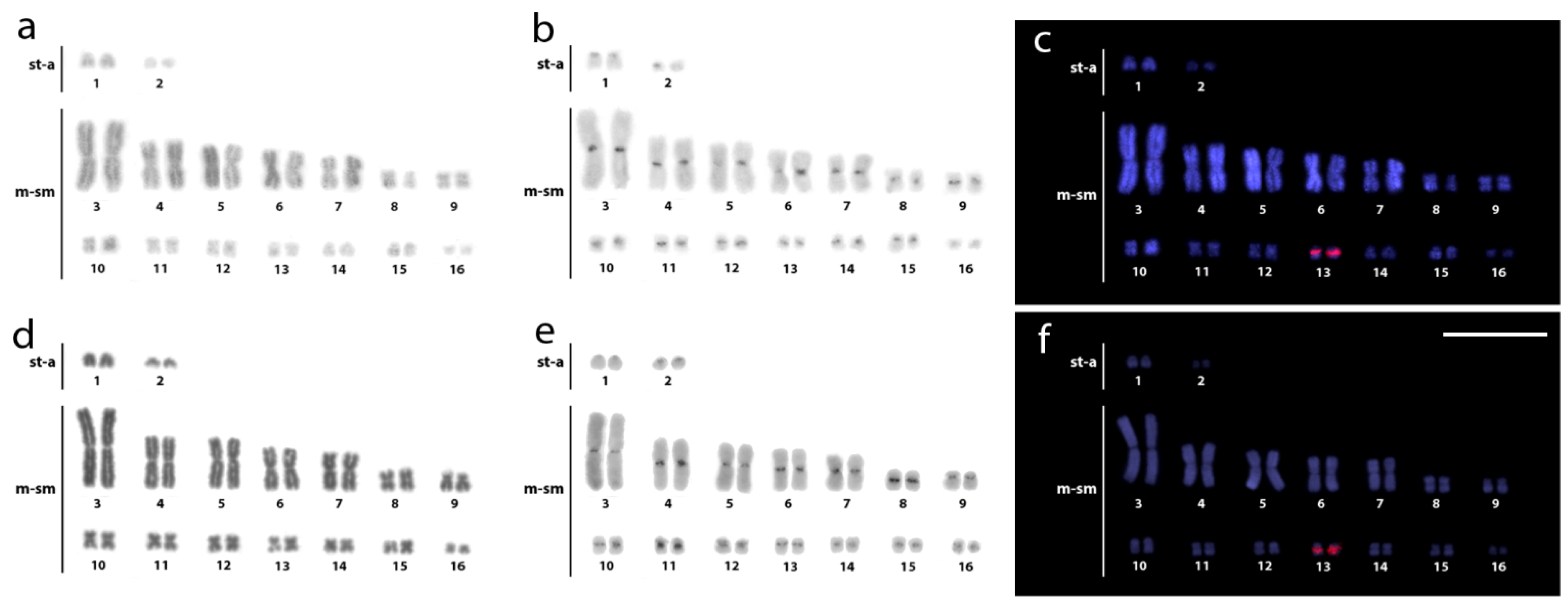 Cells 10 01397 g003