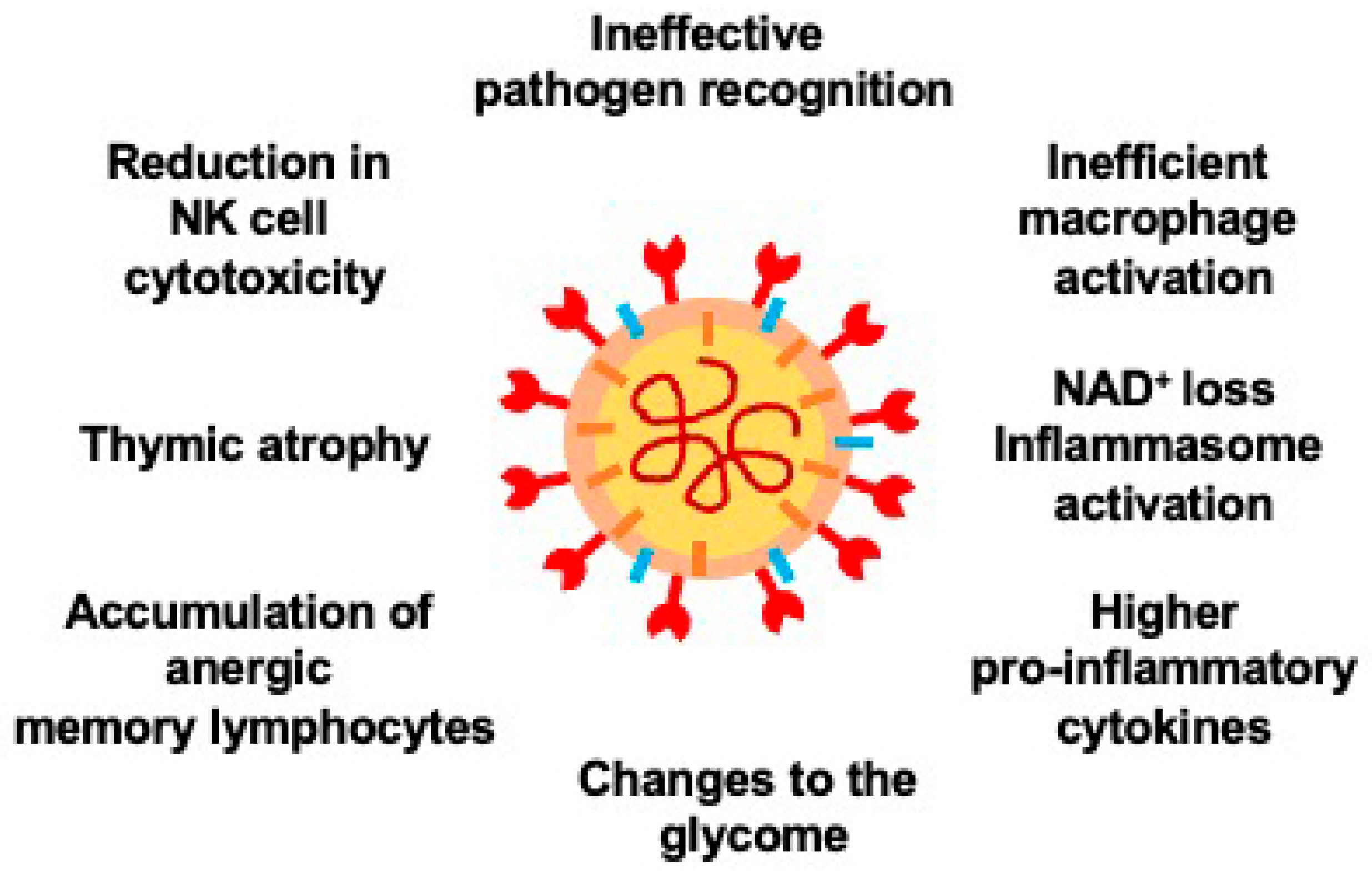 Cells 10 01412 g001 Cells 10 01412 g001