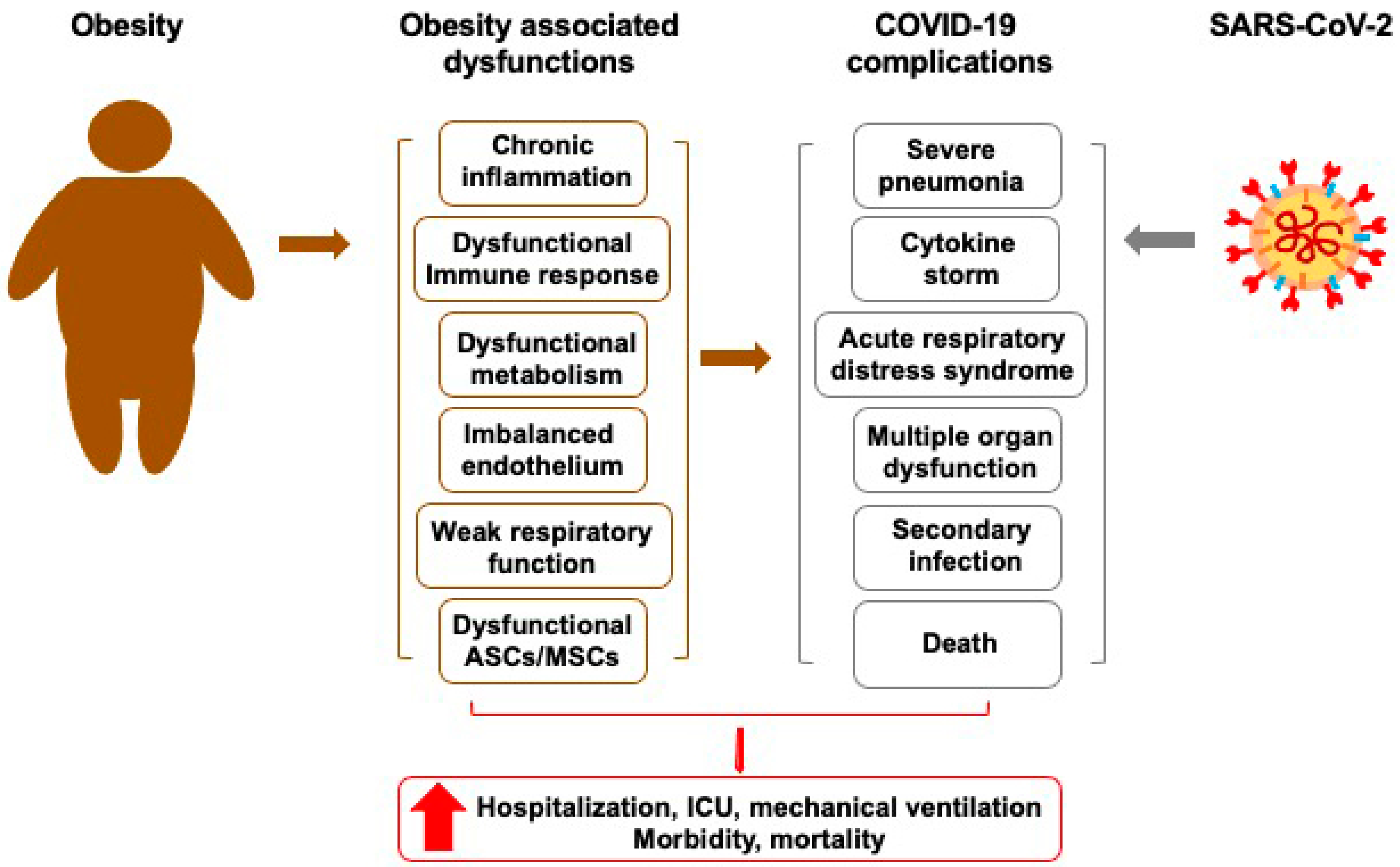 Cells 10 01412 g002 Cells 10 01412 g002
