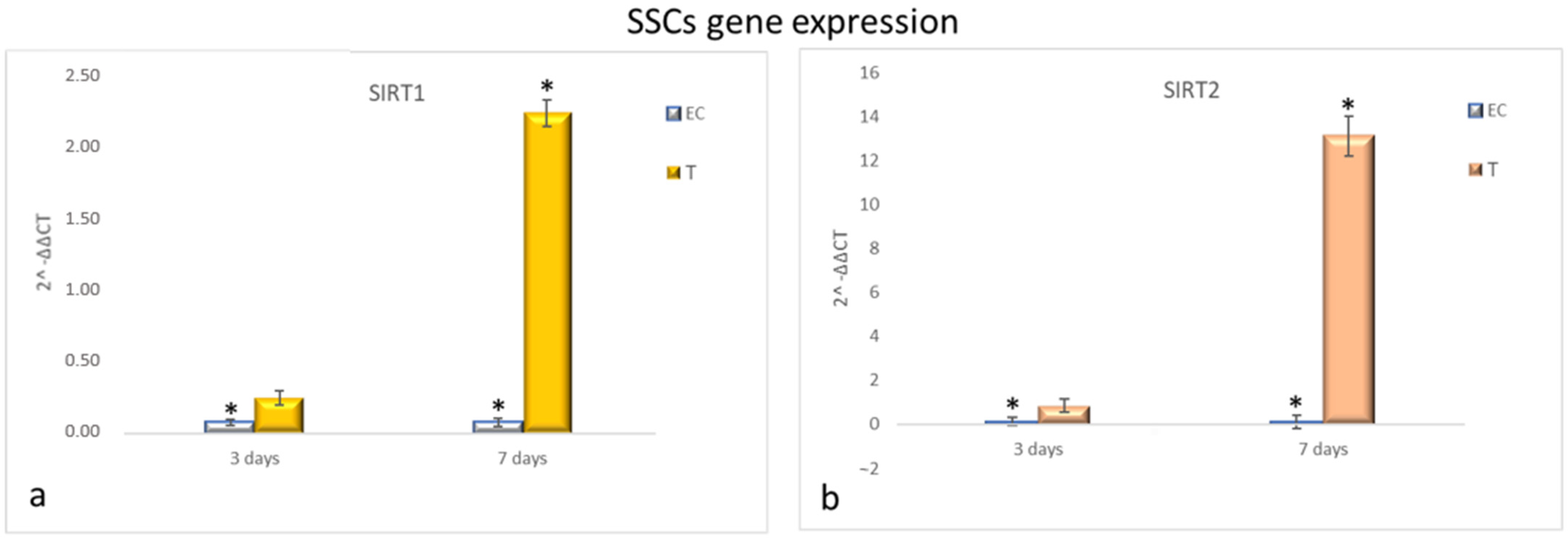 Cells 10 01415 g005 Cells 10 01415 g005