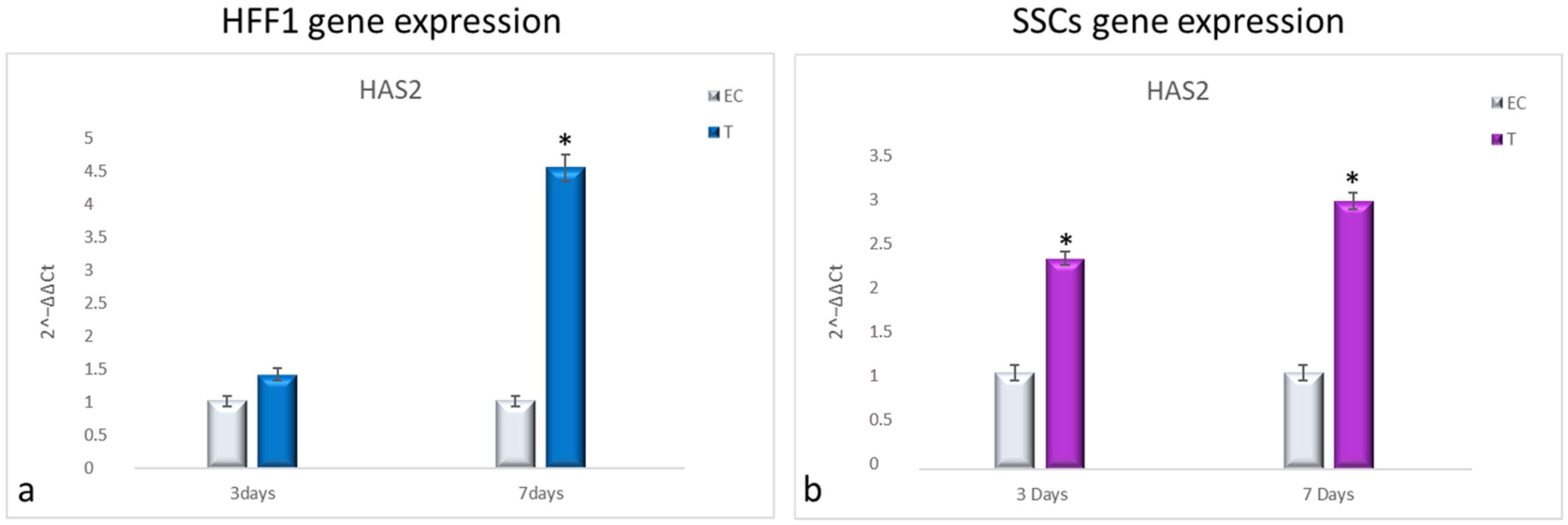 Cells 10 01415 g006 Cells 10 01415 g006