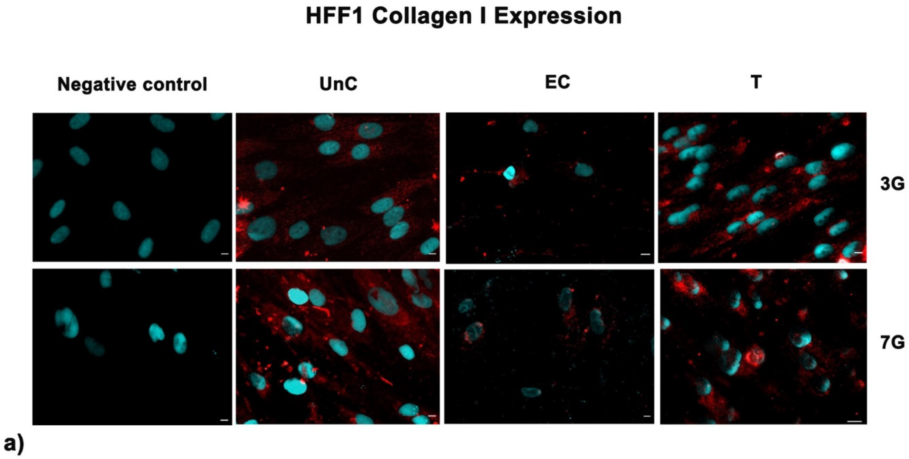 Cells 10 01415 g008a Cells 10 01415 g008a