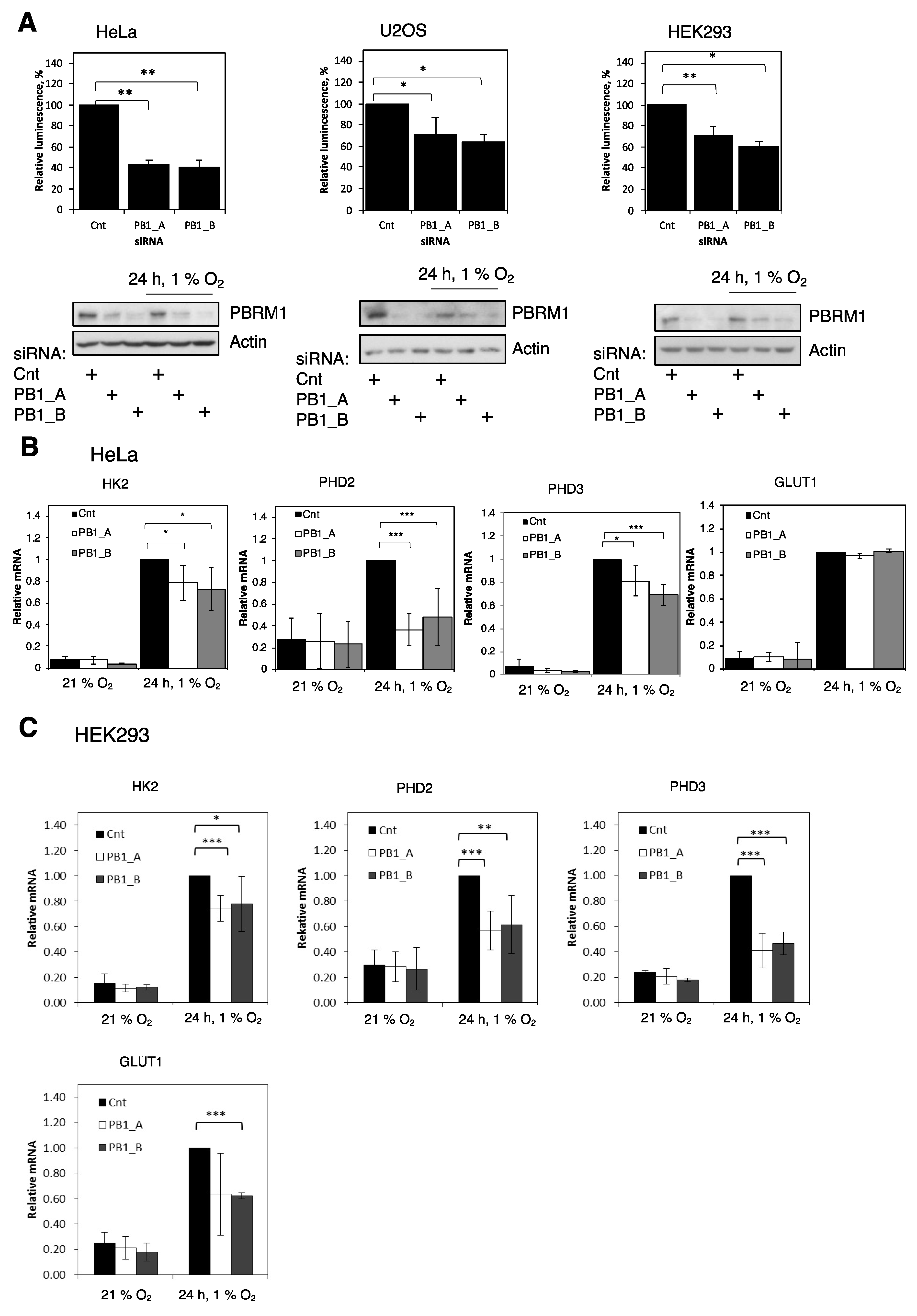 Cells 10 01425 g001 Cells 10 01425 g001
