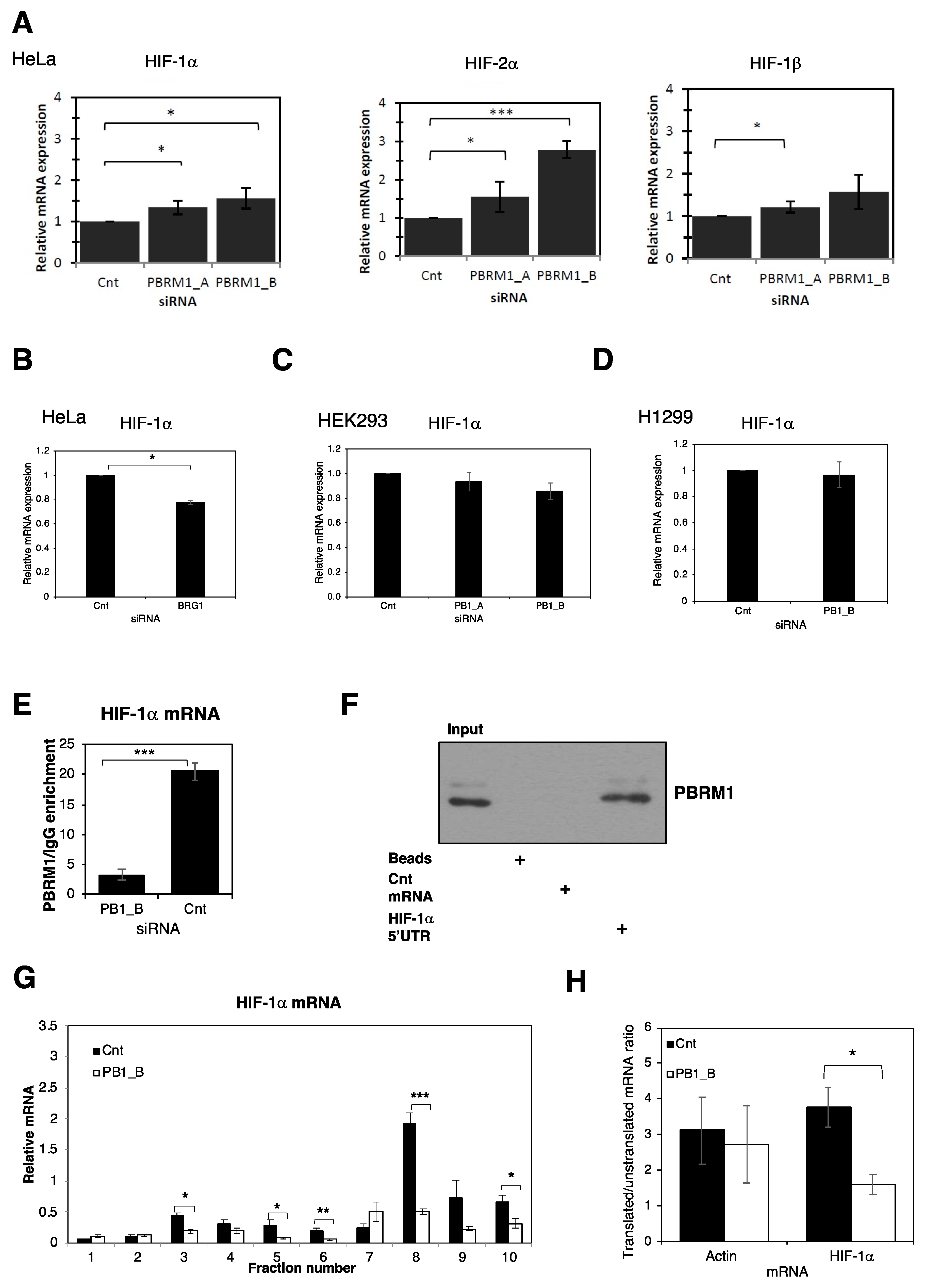 Cells 10 01425 g003 Cells 10 01425 g003