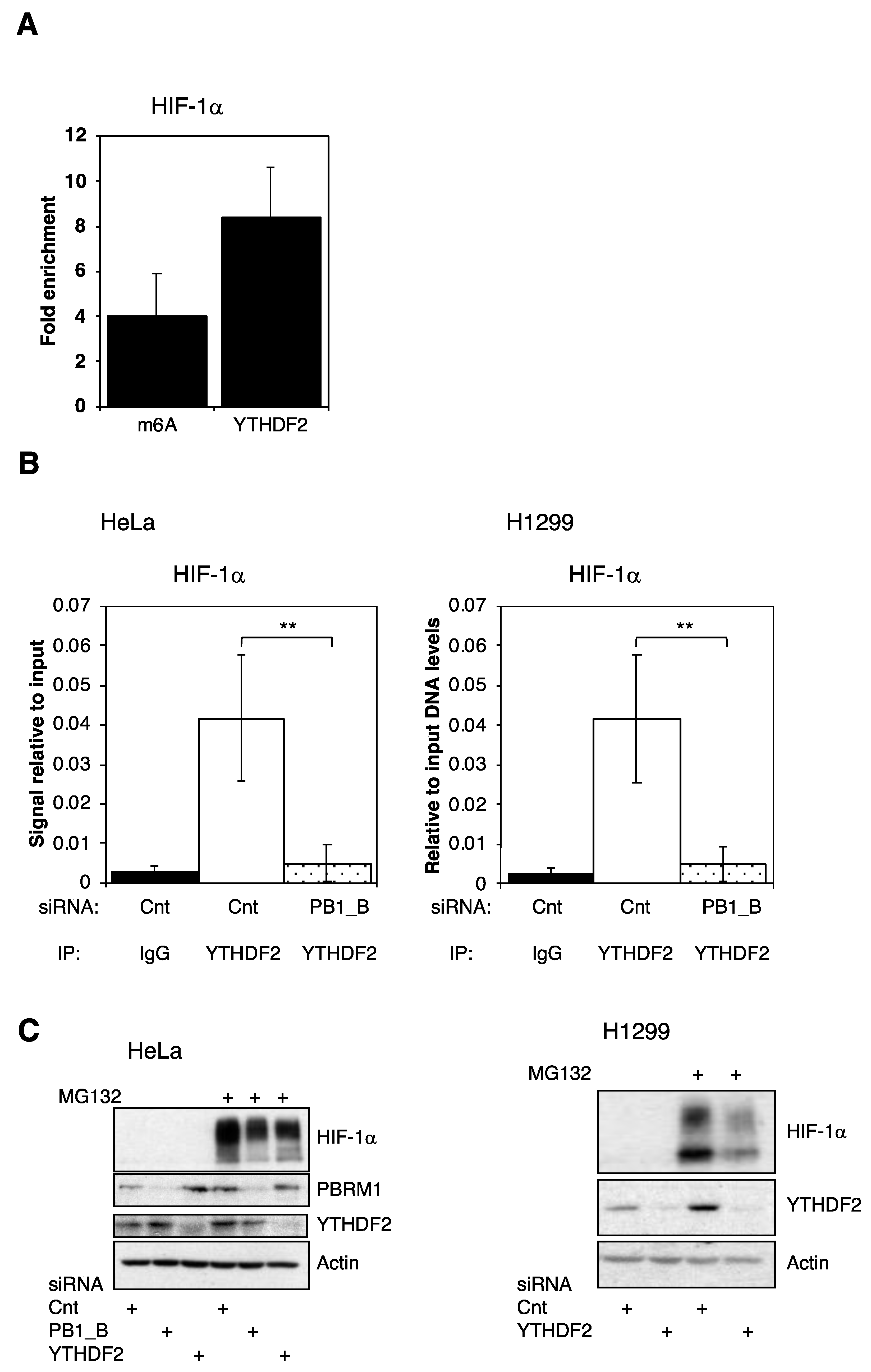 Cells 10 01425 g005 Cells 10 01425 g005