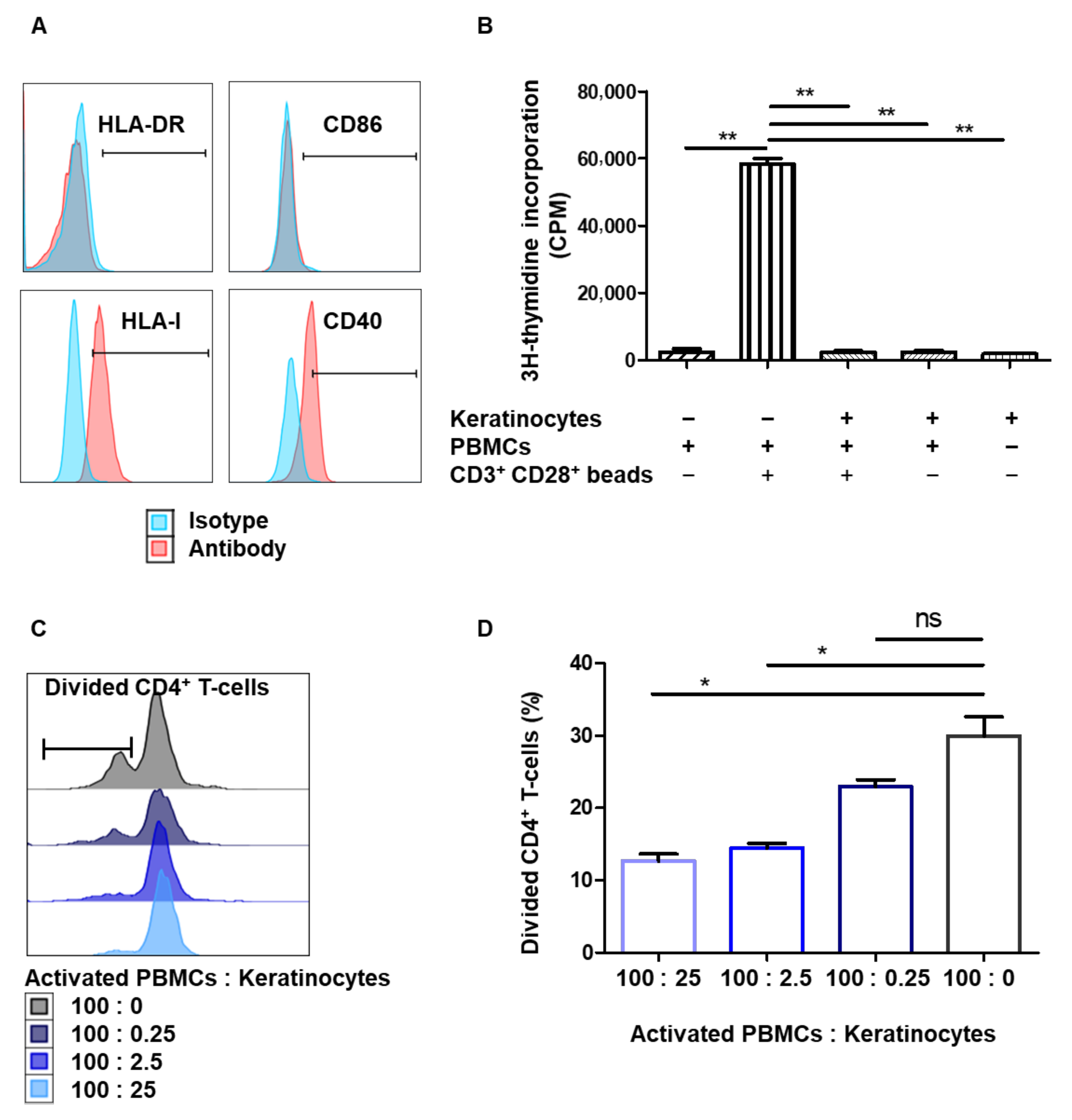 Cells 10 01438 g001 Cells 10 01438 g001