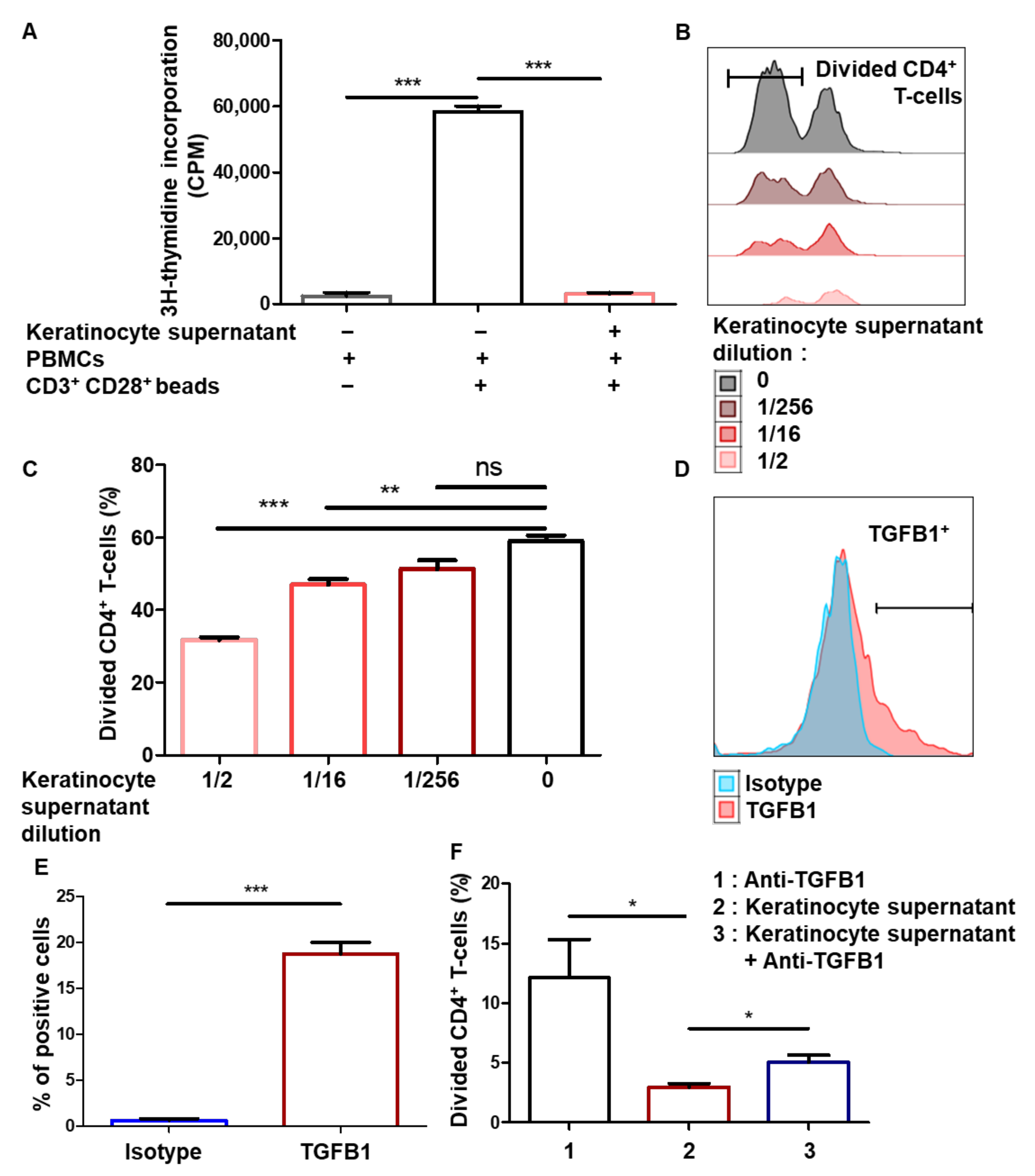Cells 10 01438 g003 Cells 10 01438 g003