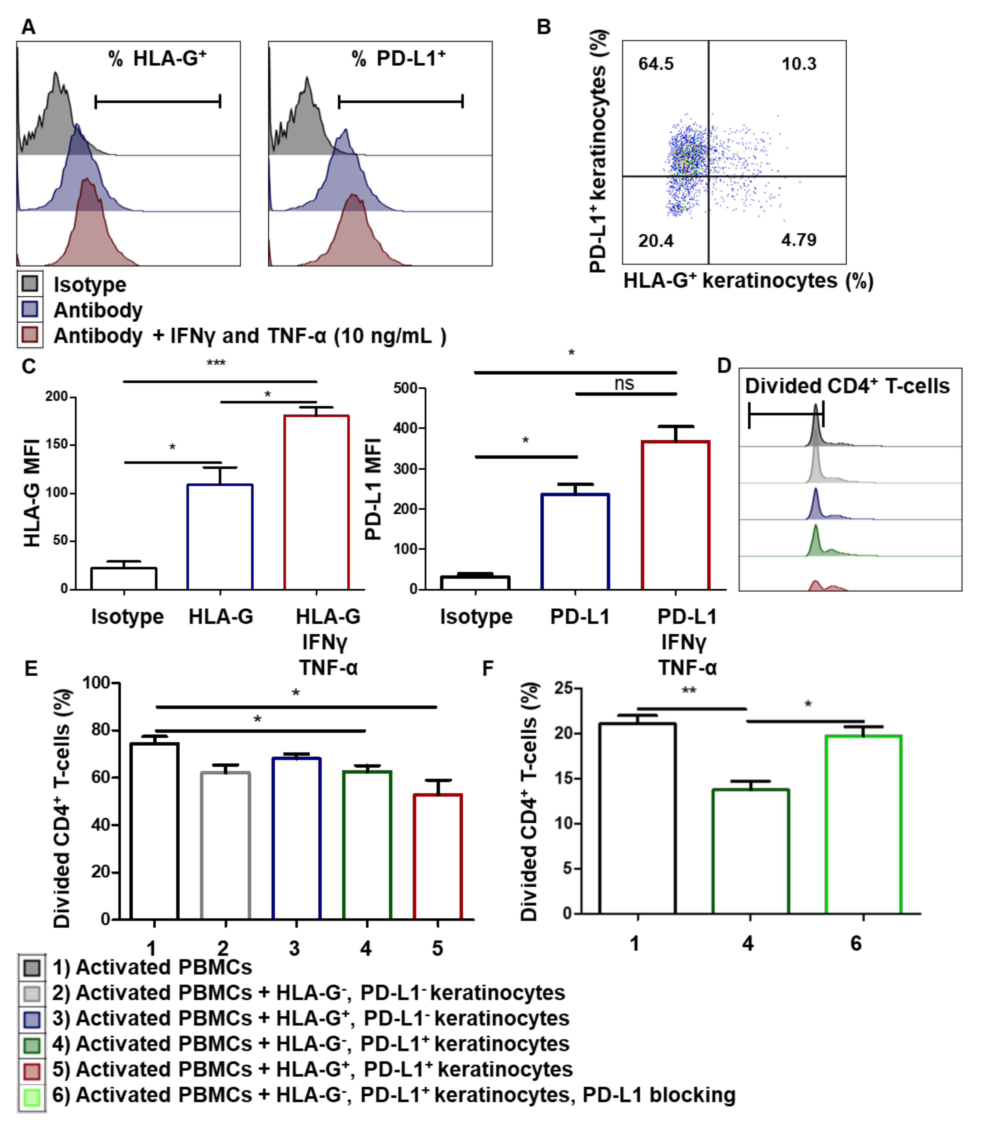 Cells 10 01438 g004 Cells 10 01438 g004