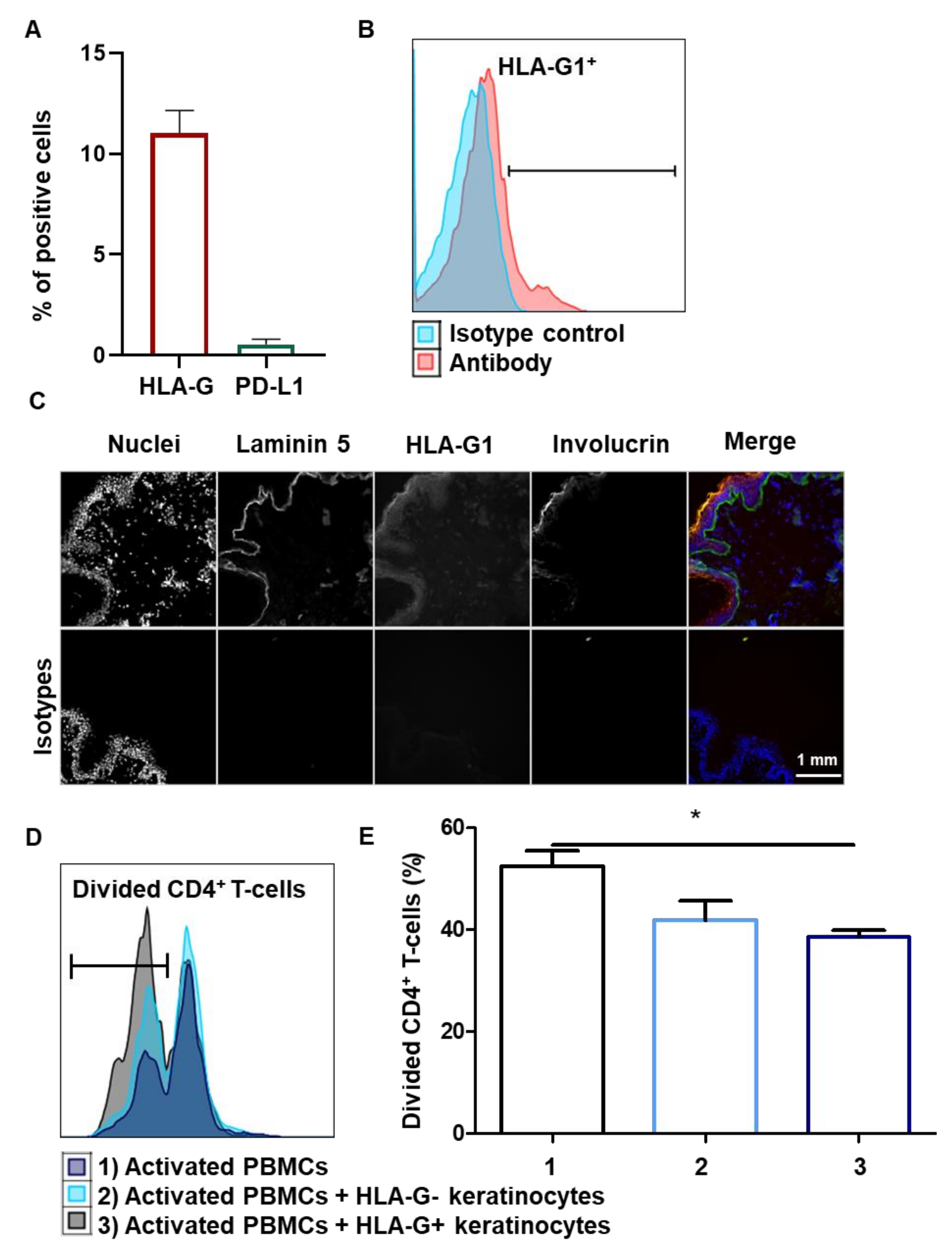 Cells 10 01438 g005 Cells 10 01438 g005