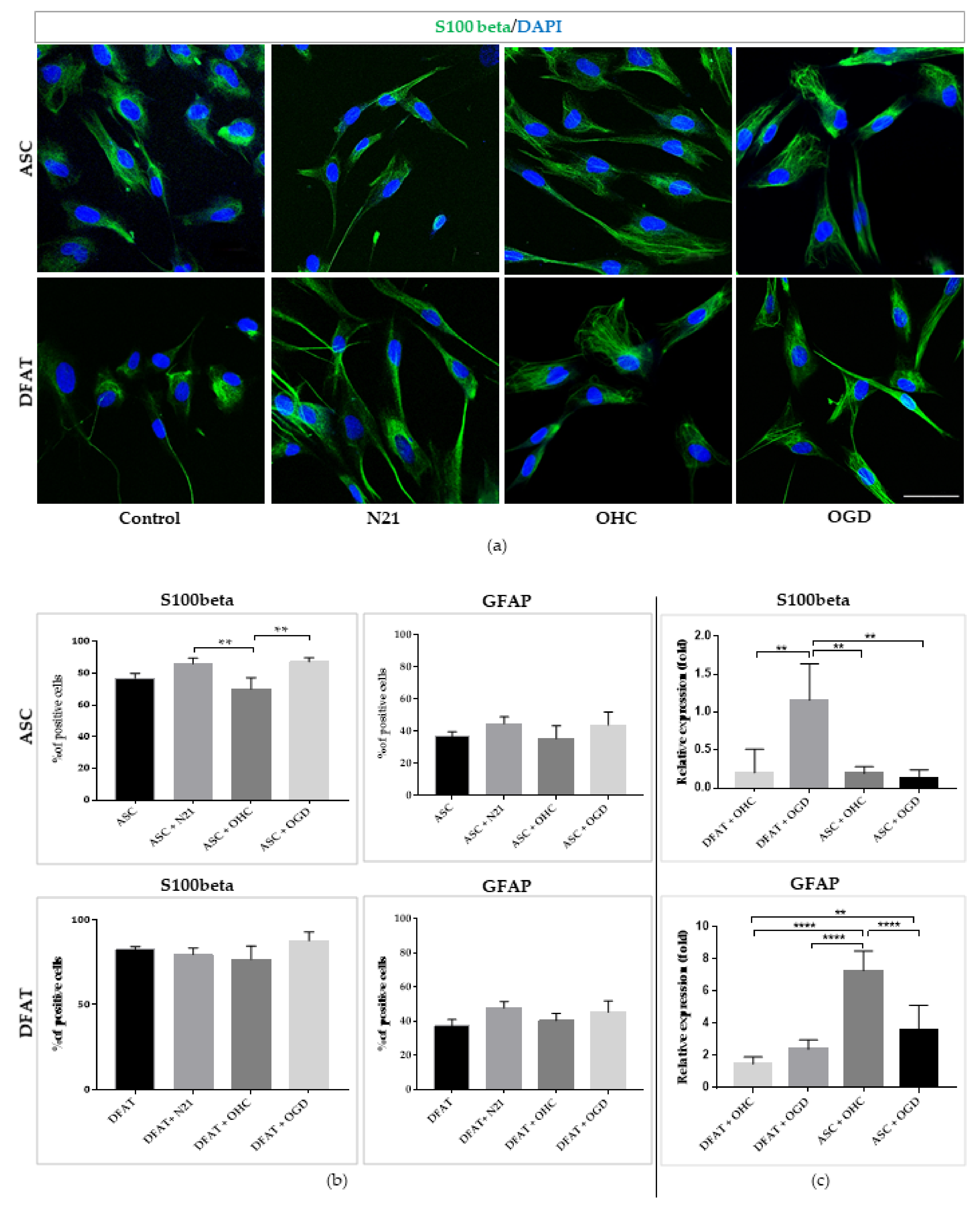 Cells 10 01475 g009 Cells 10 01475 g009