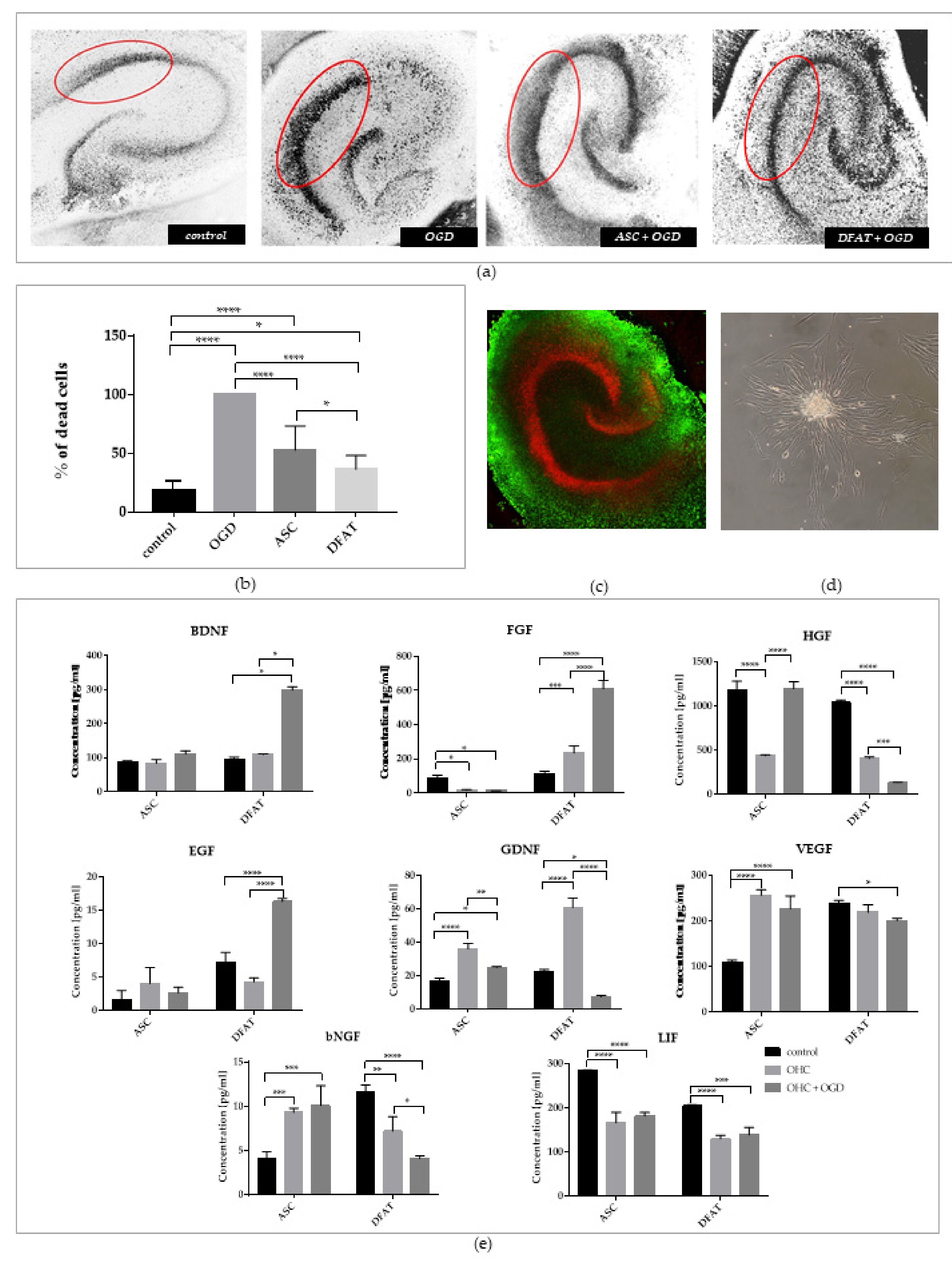Cells 10 01475 g012 Cells 10 01475 g012