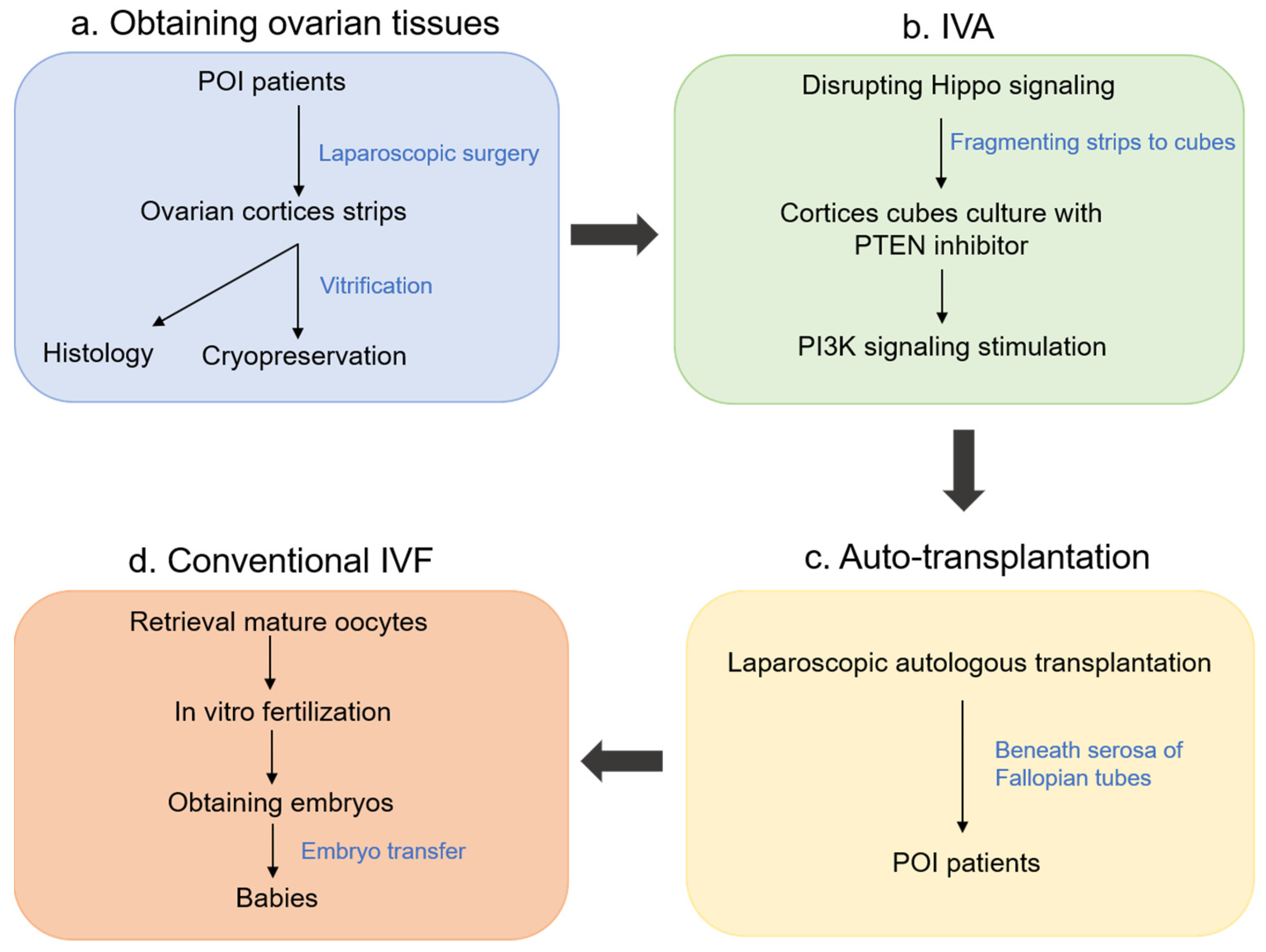 Cells 10 01491 g004 Cells 10 01491 g004