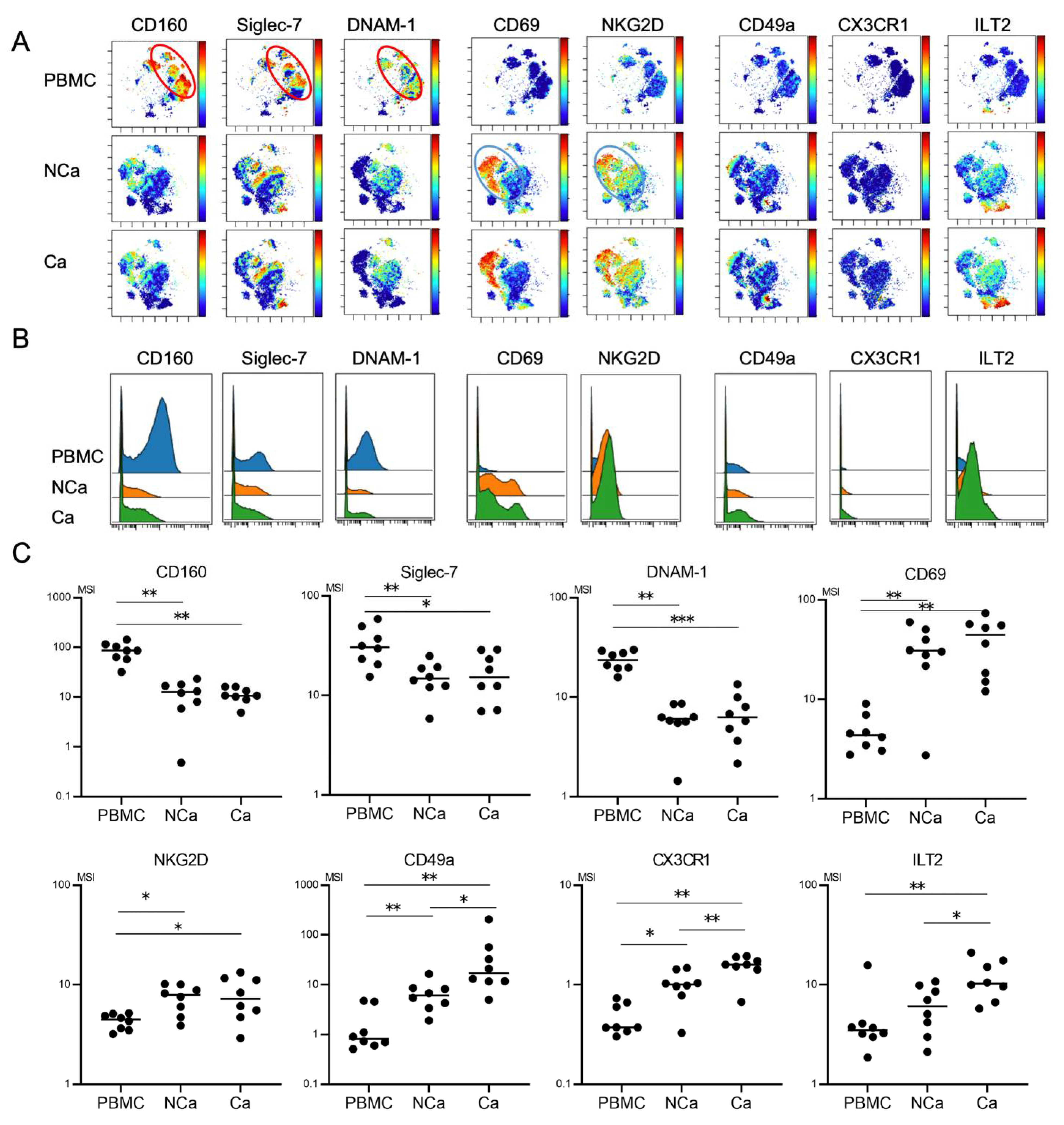 Cells 10 01495 g004 Cells 10 01495 g004