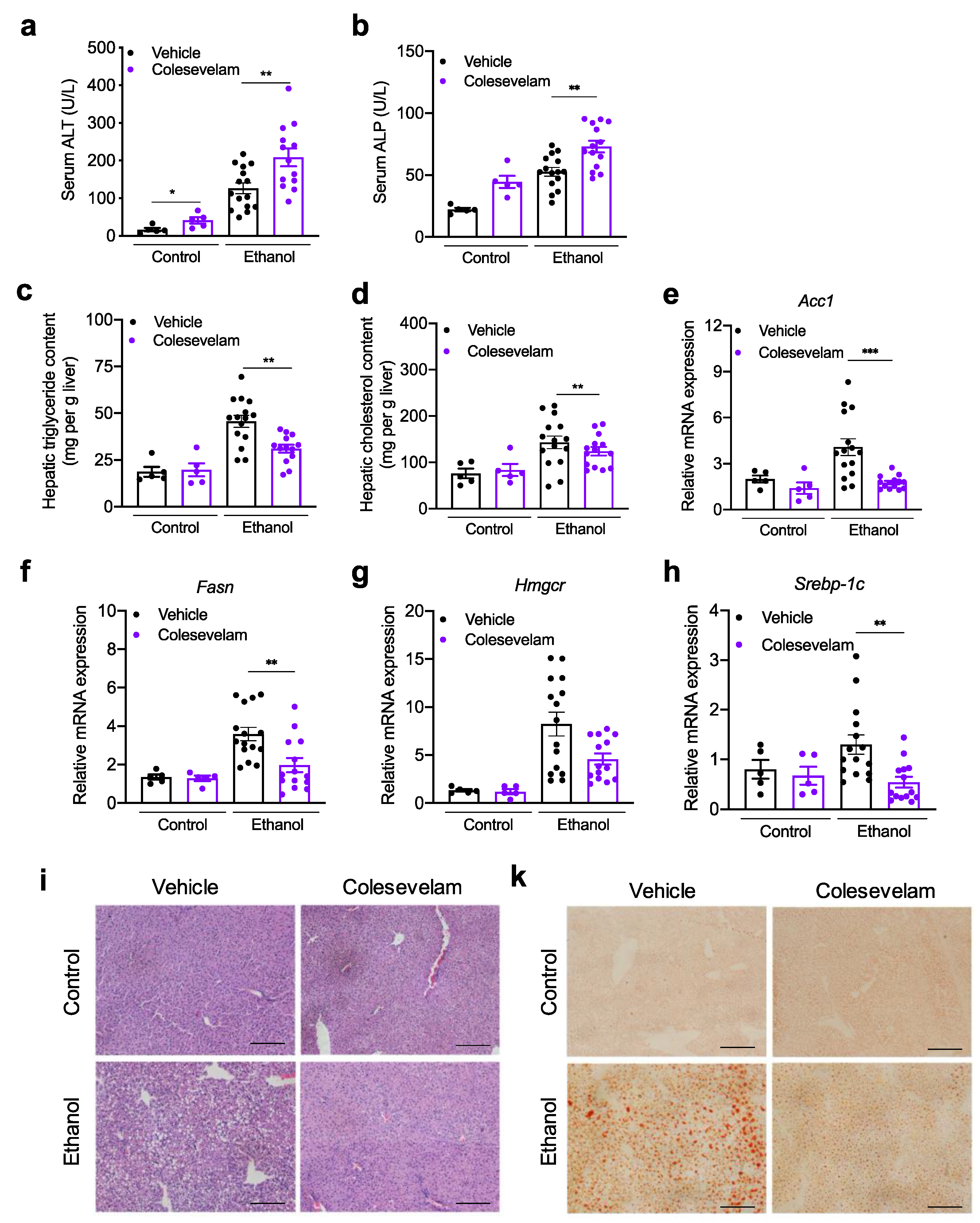 Cells 10 01496 g003 Cells 10 01496 g003