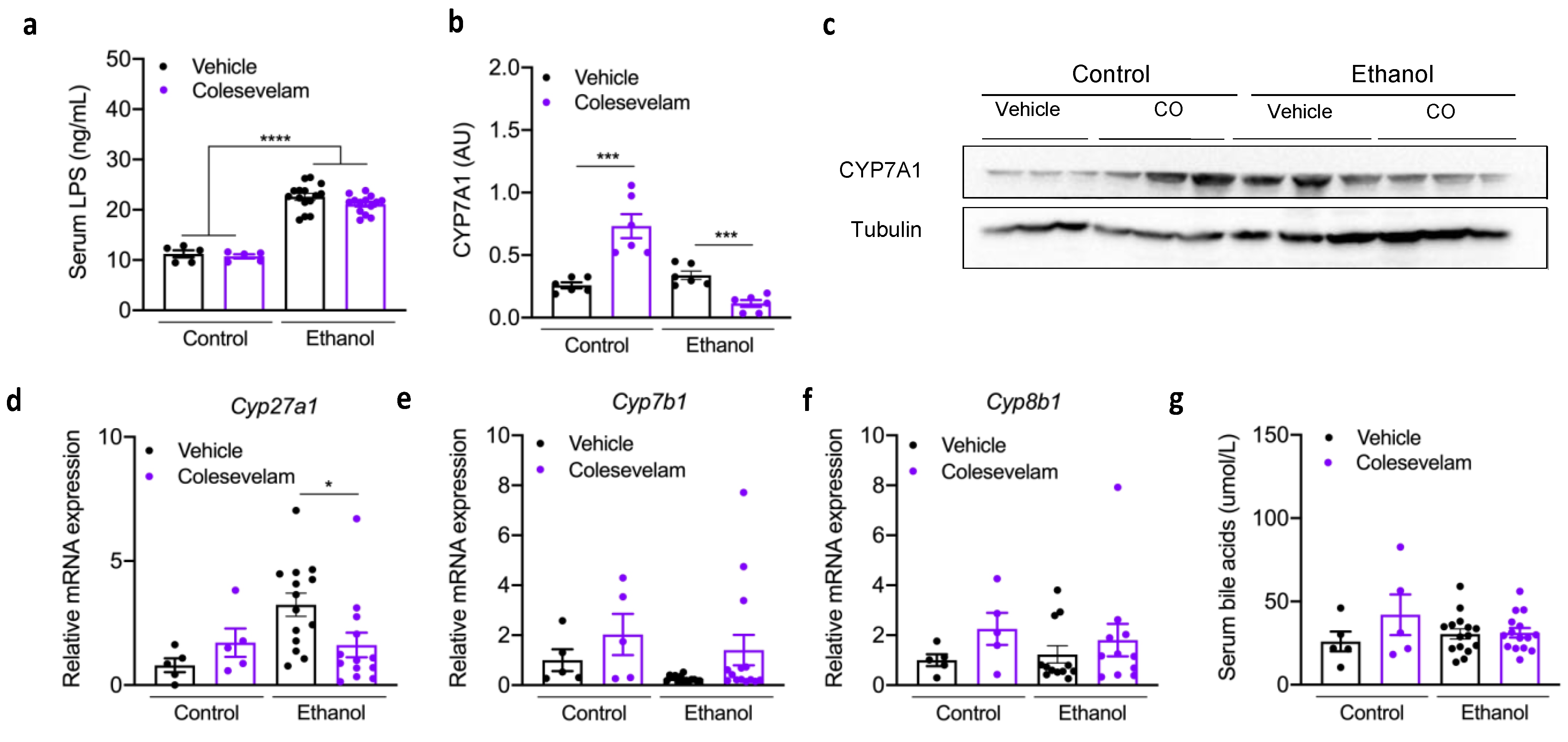 Cells 10 01496 g005 Cells 10 01496 g005