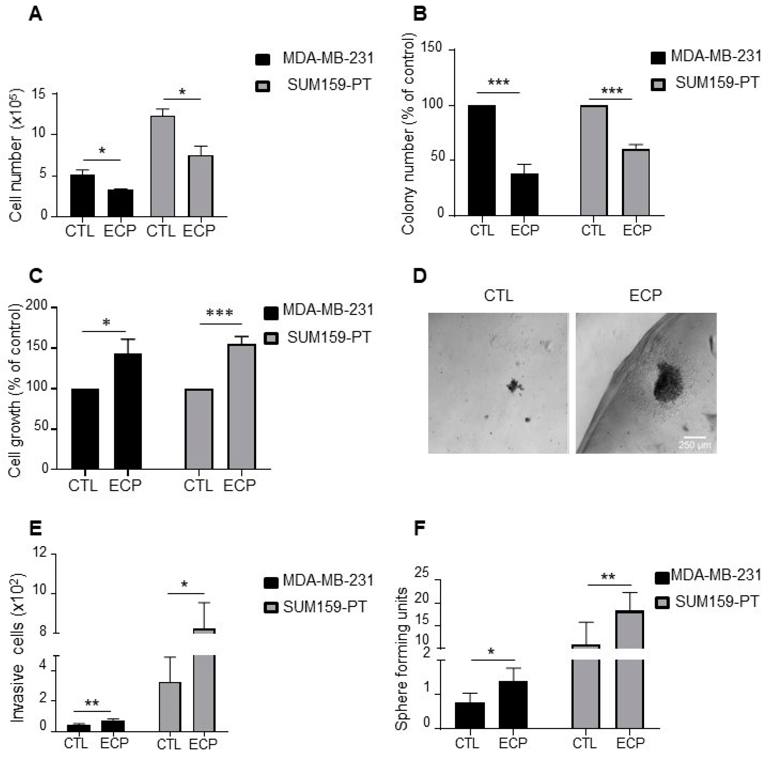 Cells 10 01504 g001 Cells 10 01504 g001