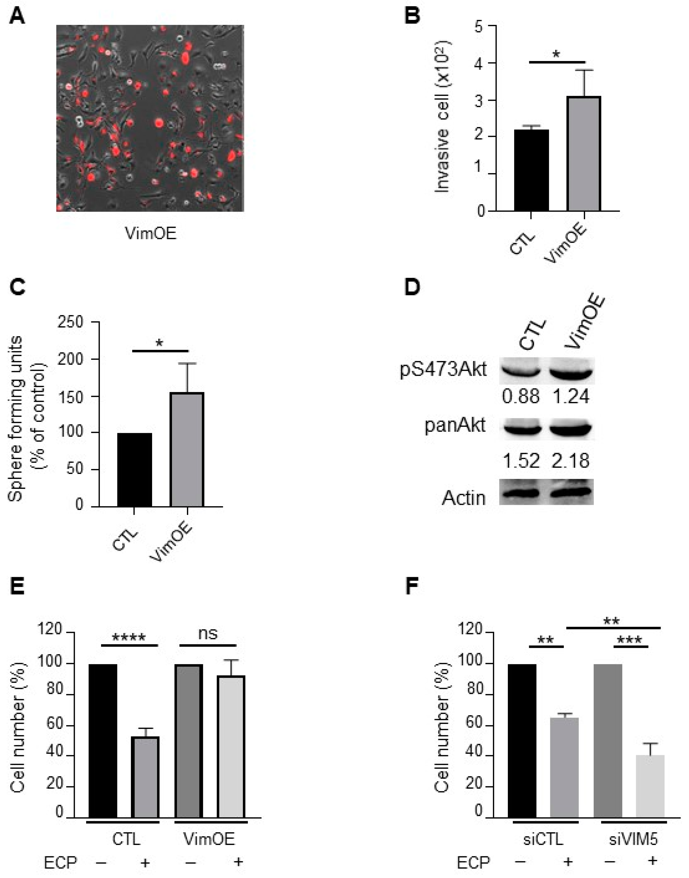 Cells 10 01504 g006 Cells 10 01504 g006