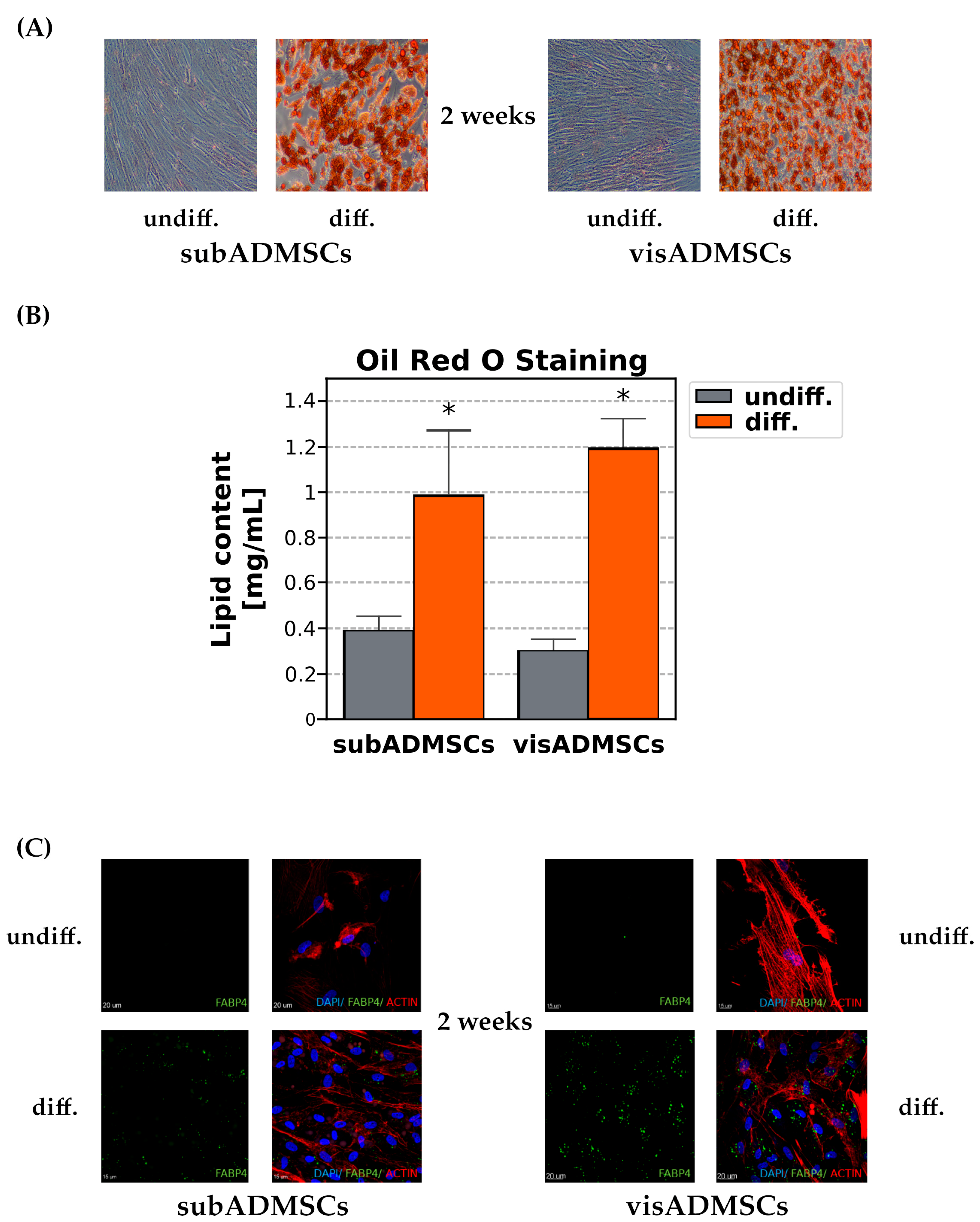 Cells 10 01515 g004