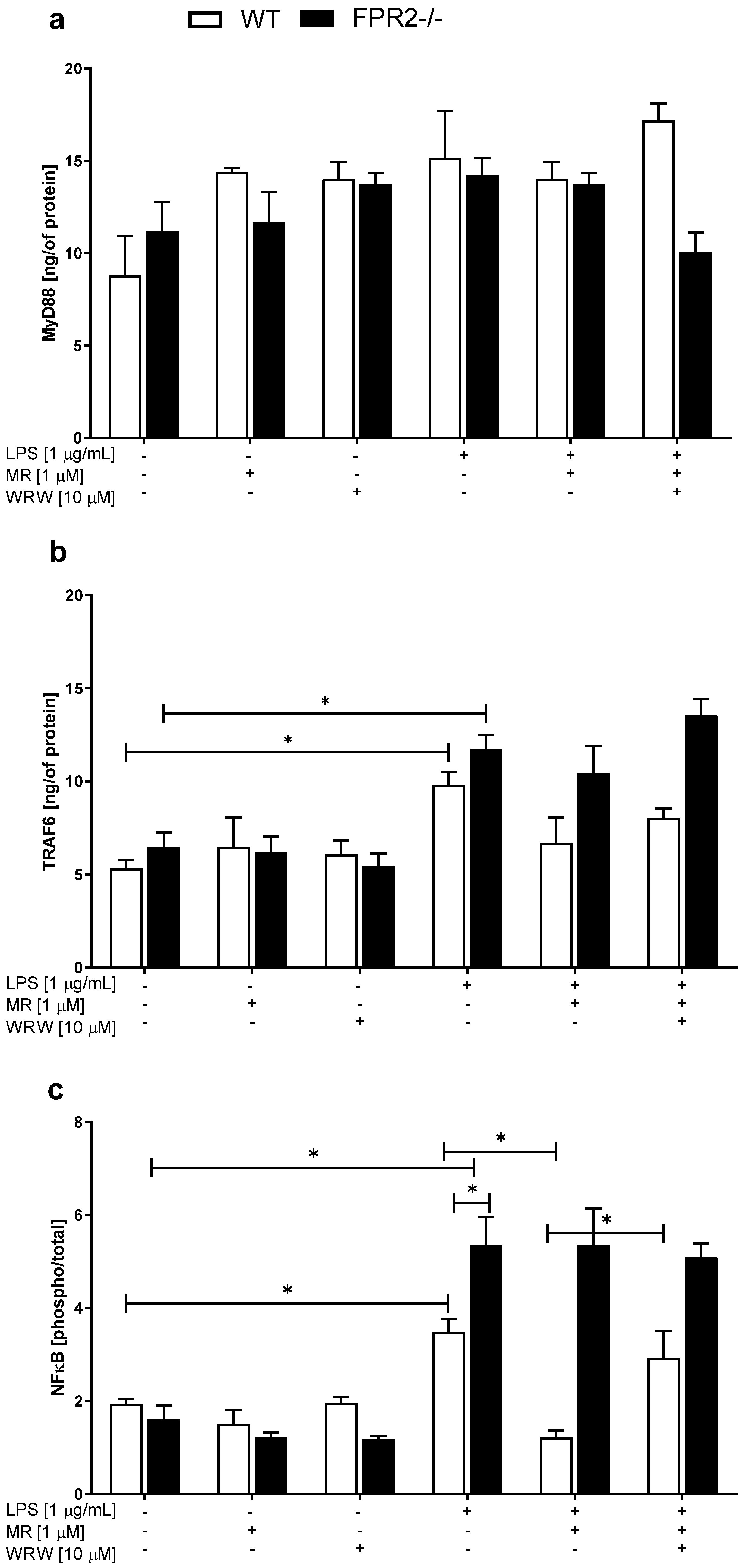 Cells 10 01524 g005 Cells 10 01524 g005