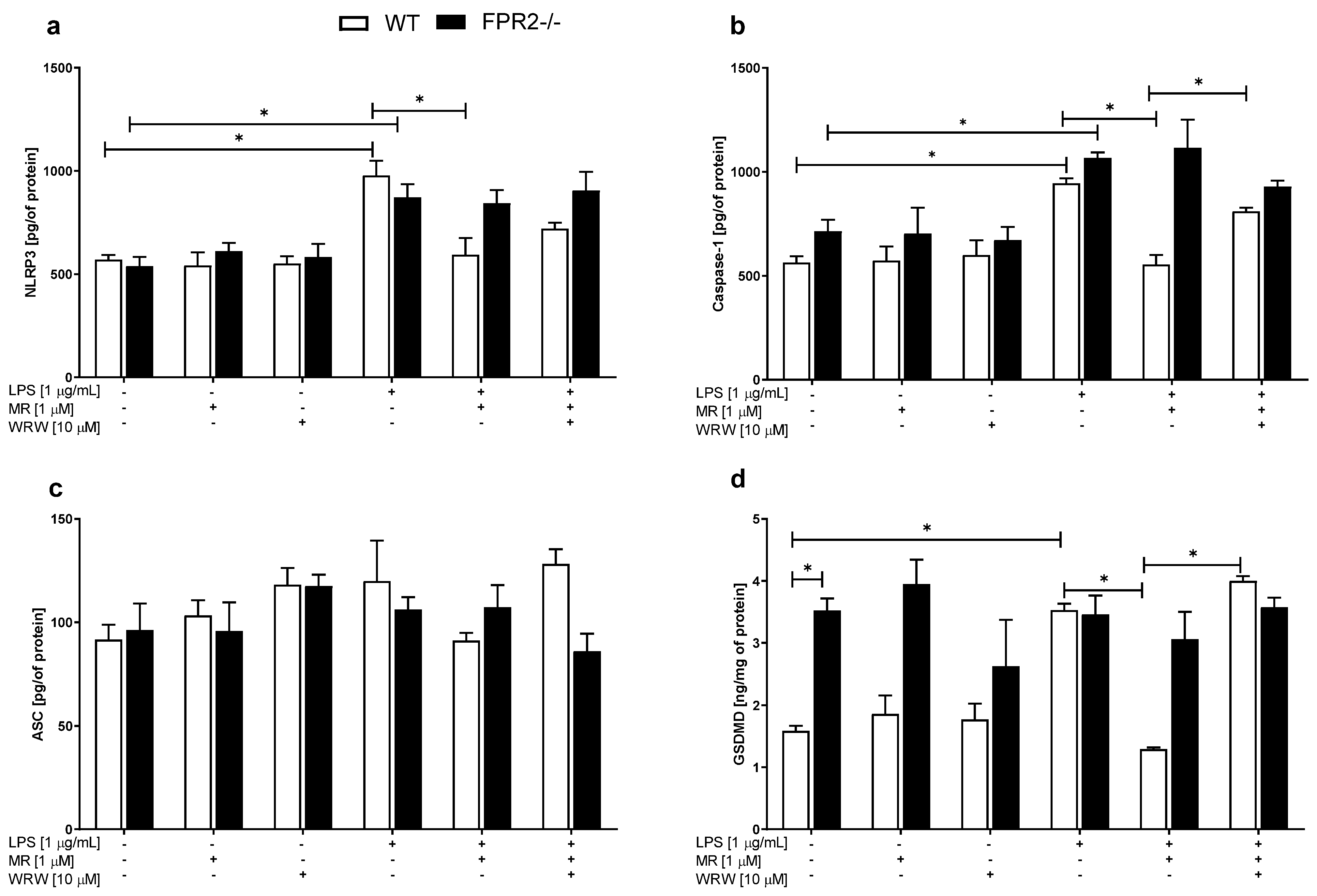 Cells 10 01524 g006 Cells 10 01524 g006