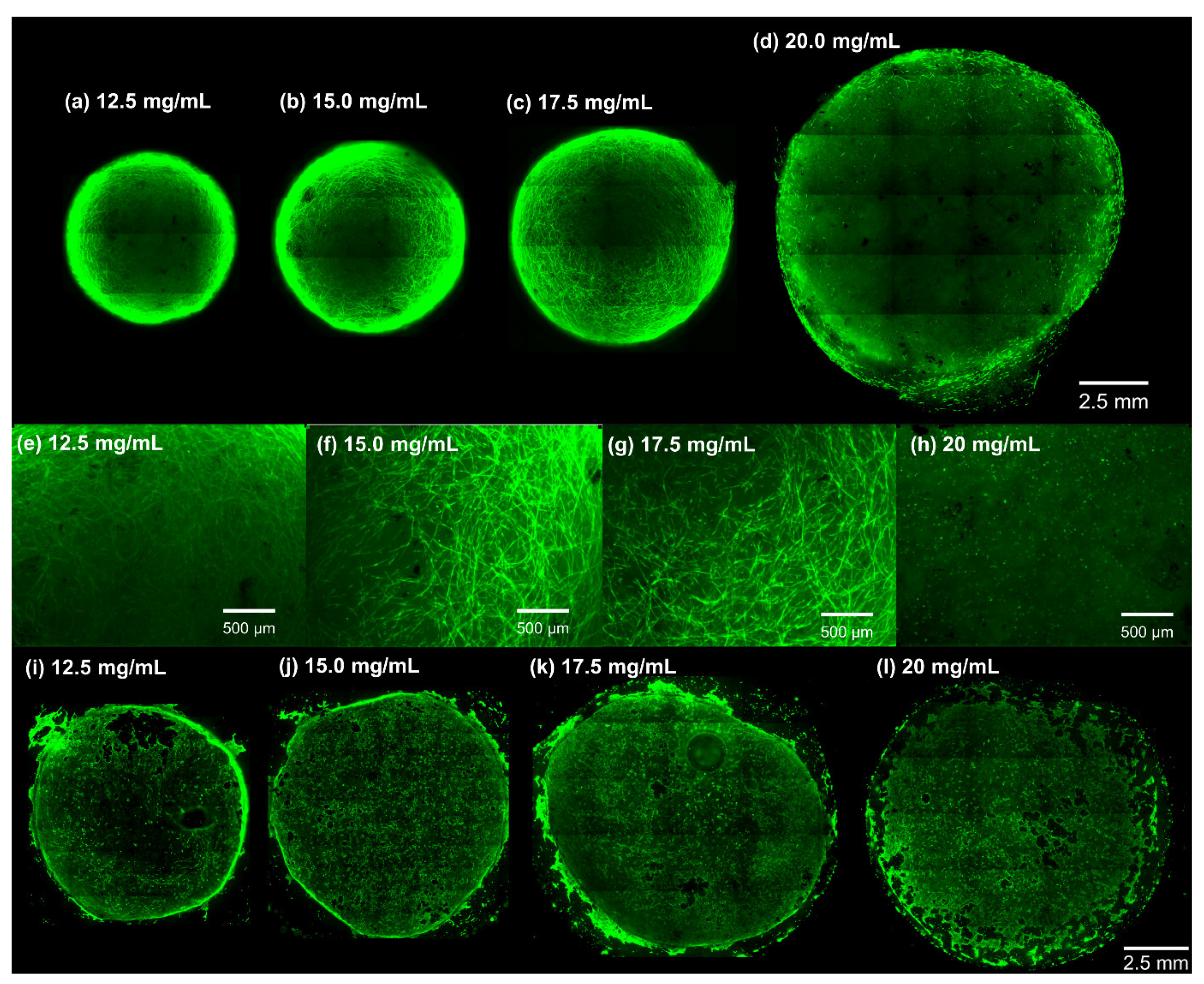 Cells 10 01538 g005