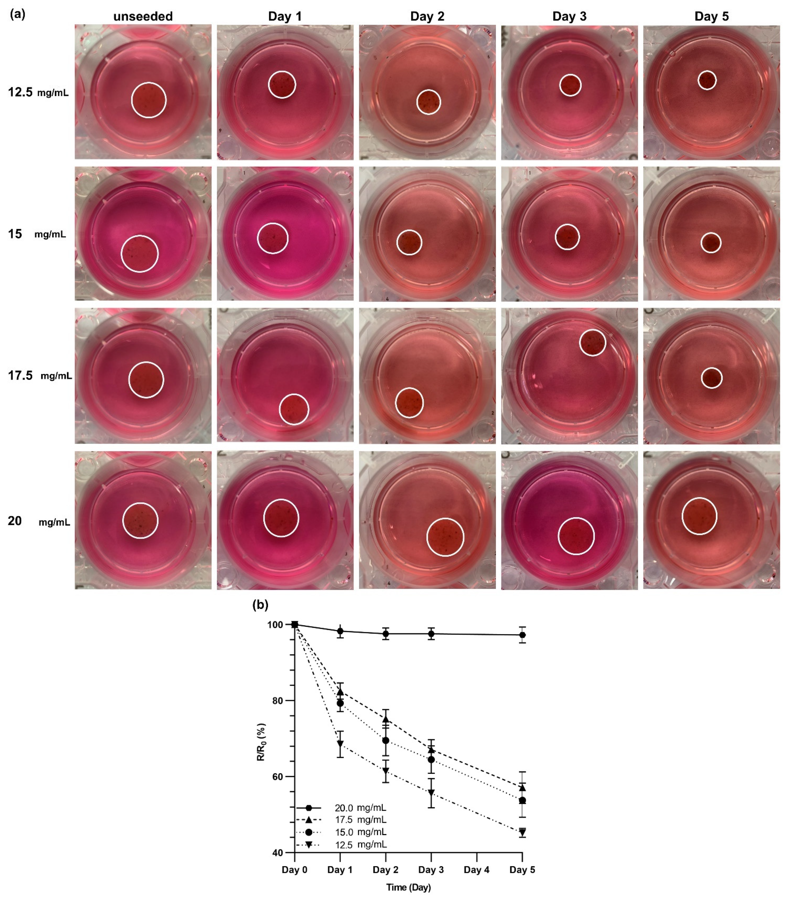 Cells 10 01538 g006