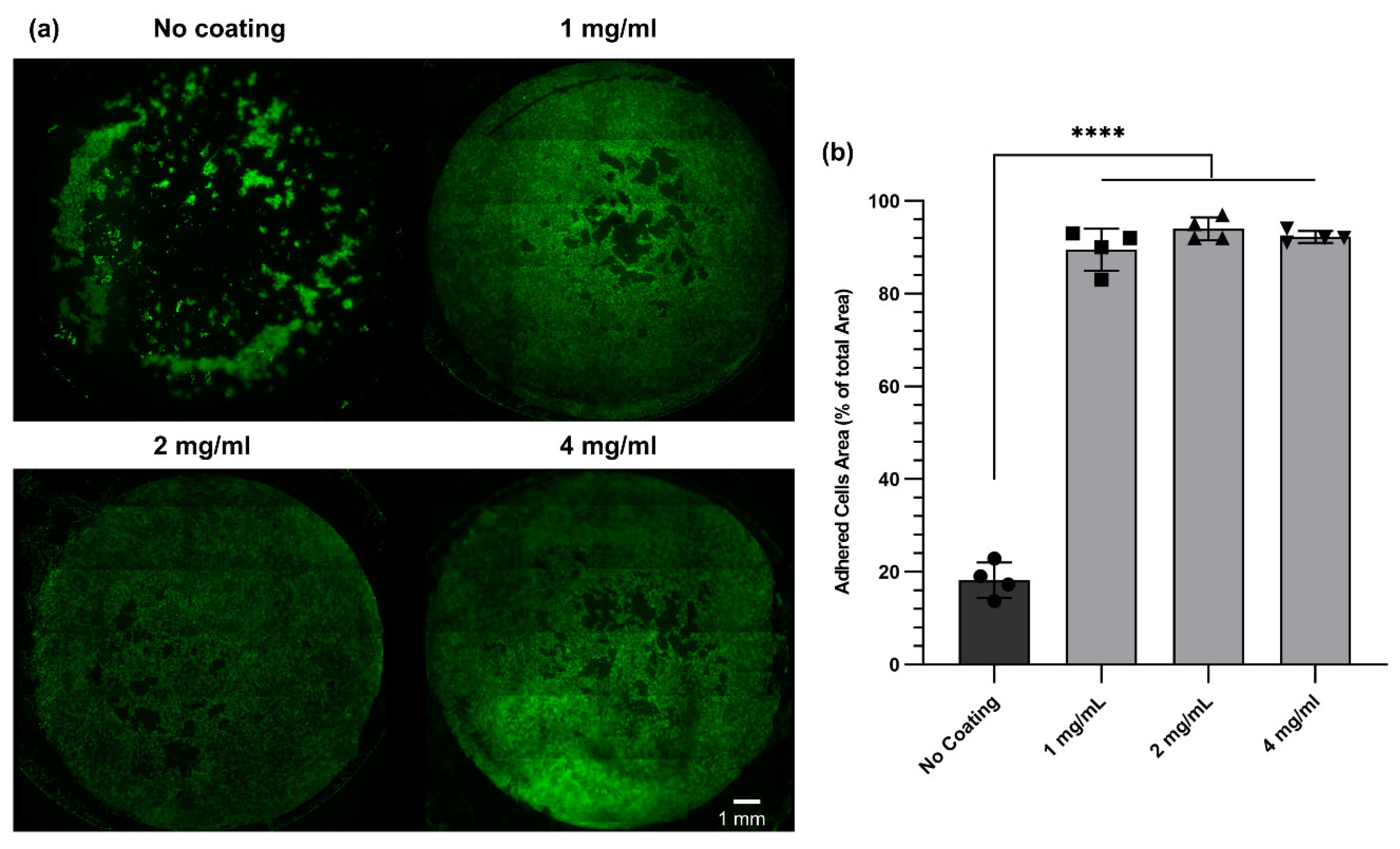 Cells 10 01538 g007