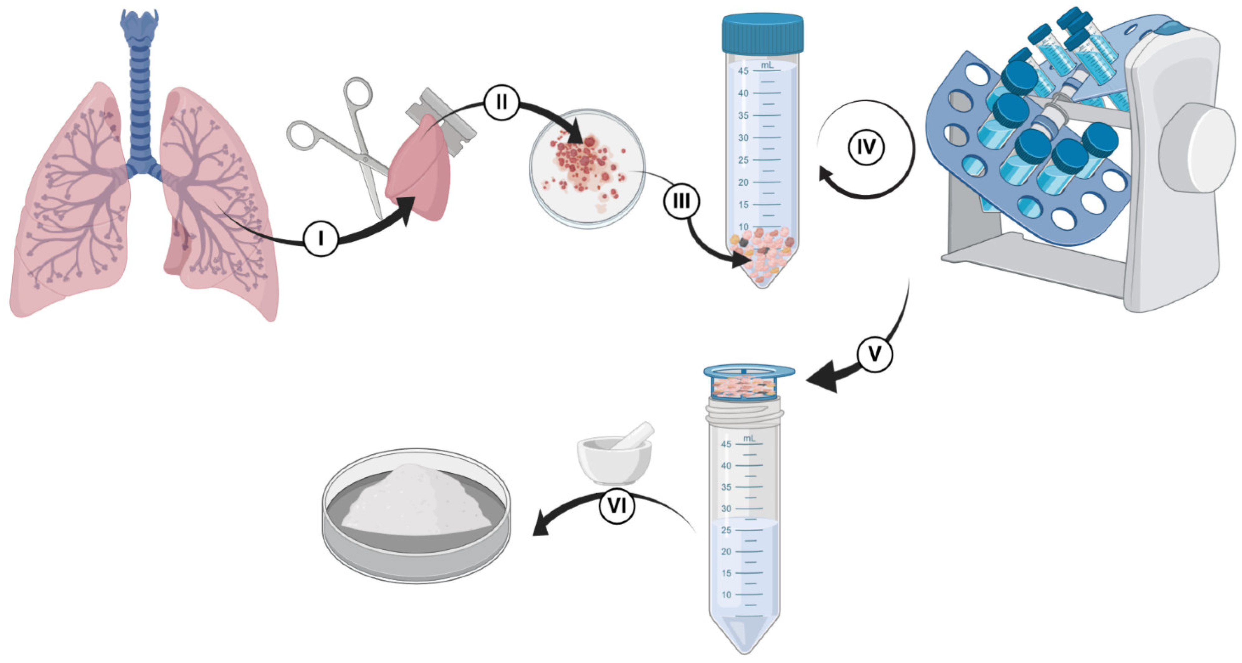 Cells 10 01538 sch001
