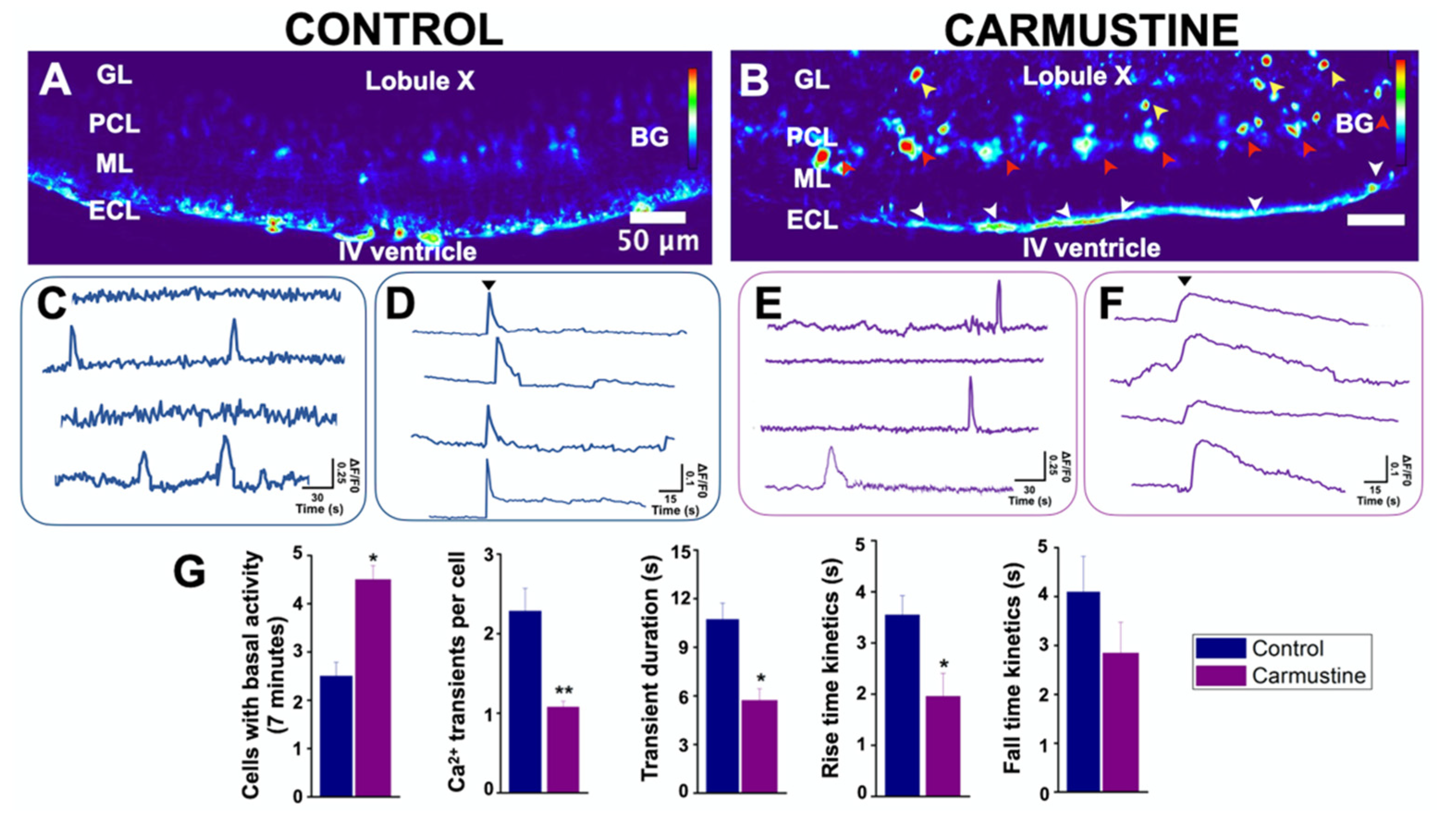 Cells 10 01581 g004 Cells 10 01581 g004