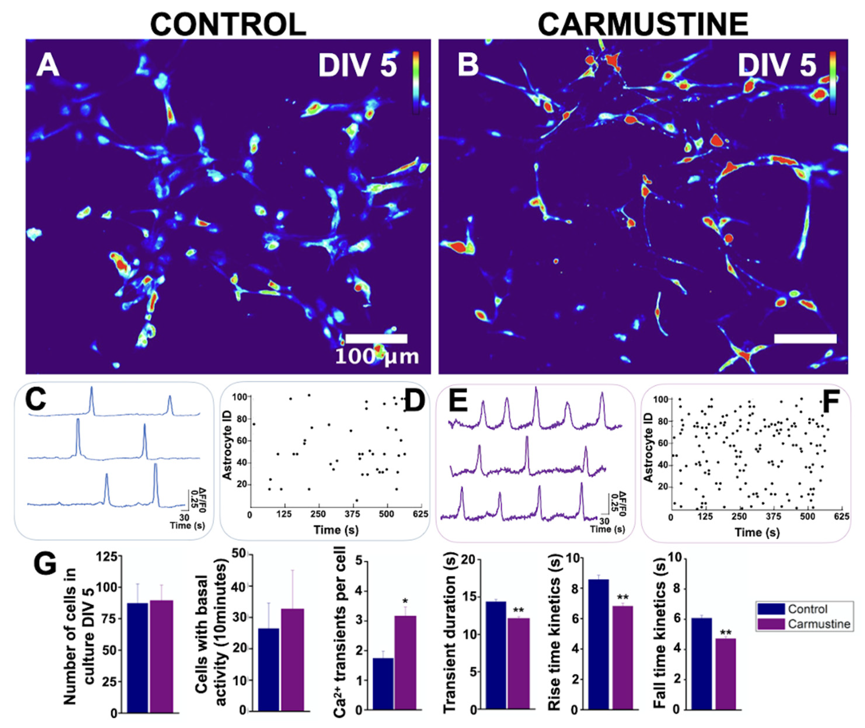 Cells 10 01581 g006 Cells 10 01581 g006