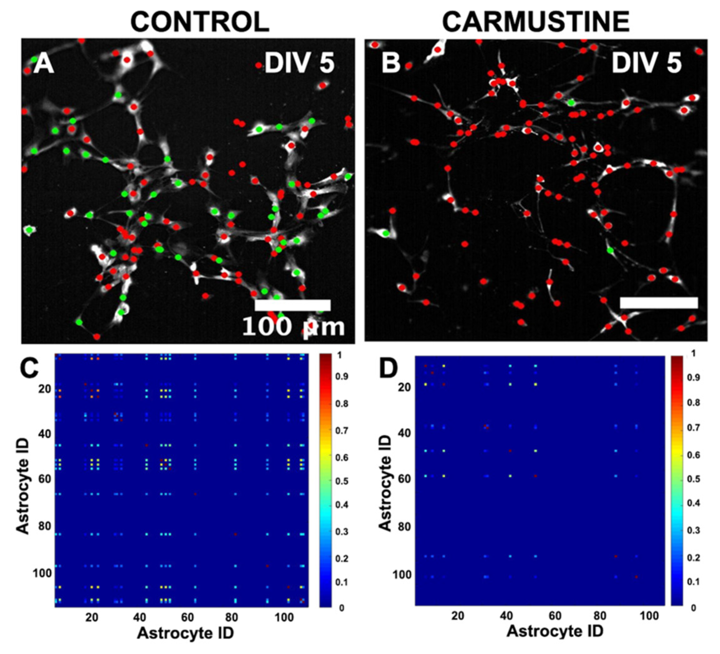 Cells 10 01581 g007 Cells 10 01581 g007