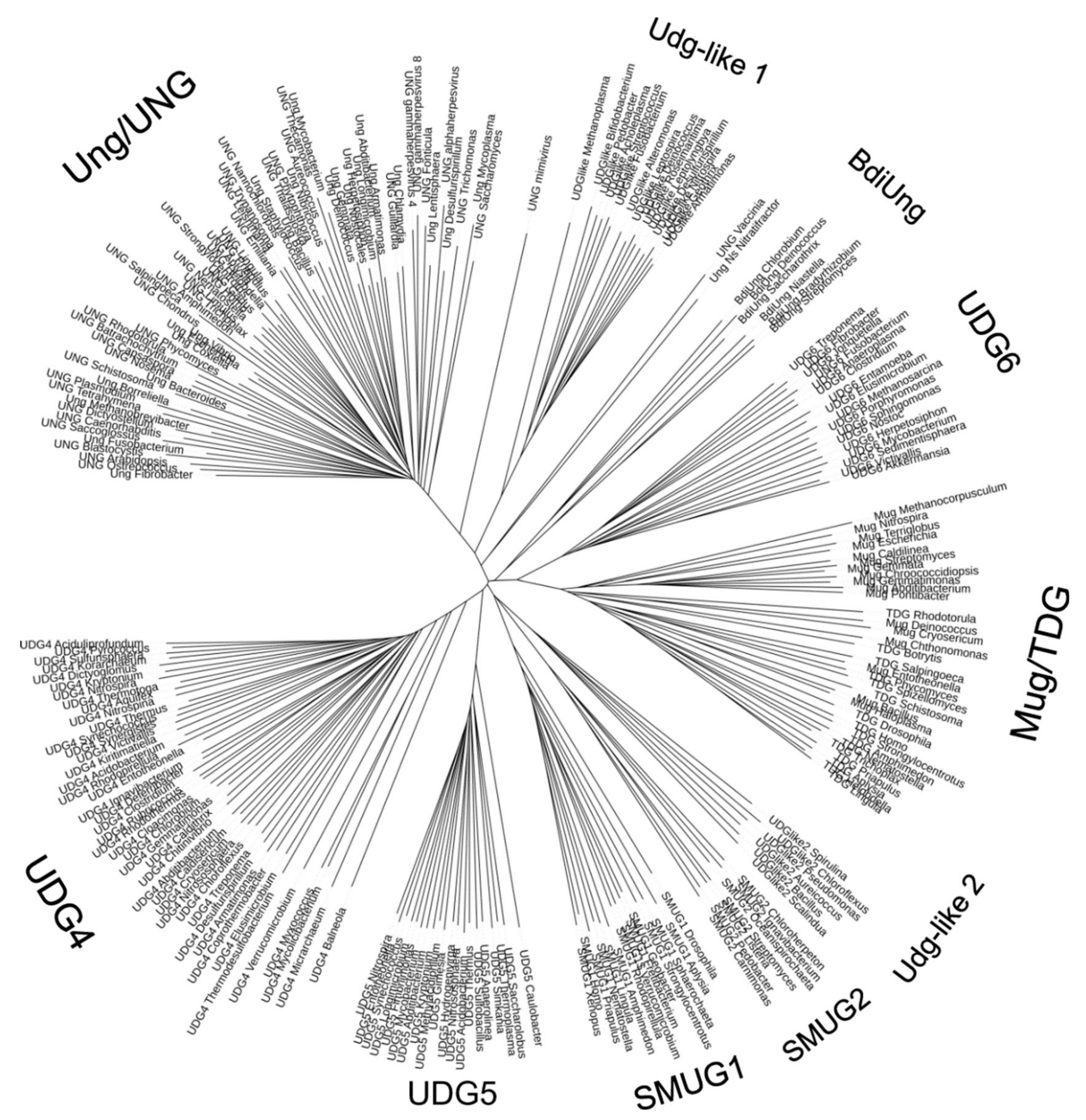 Cells 10 01591 g003 Cells 10 01591 g003