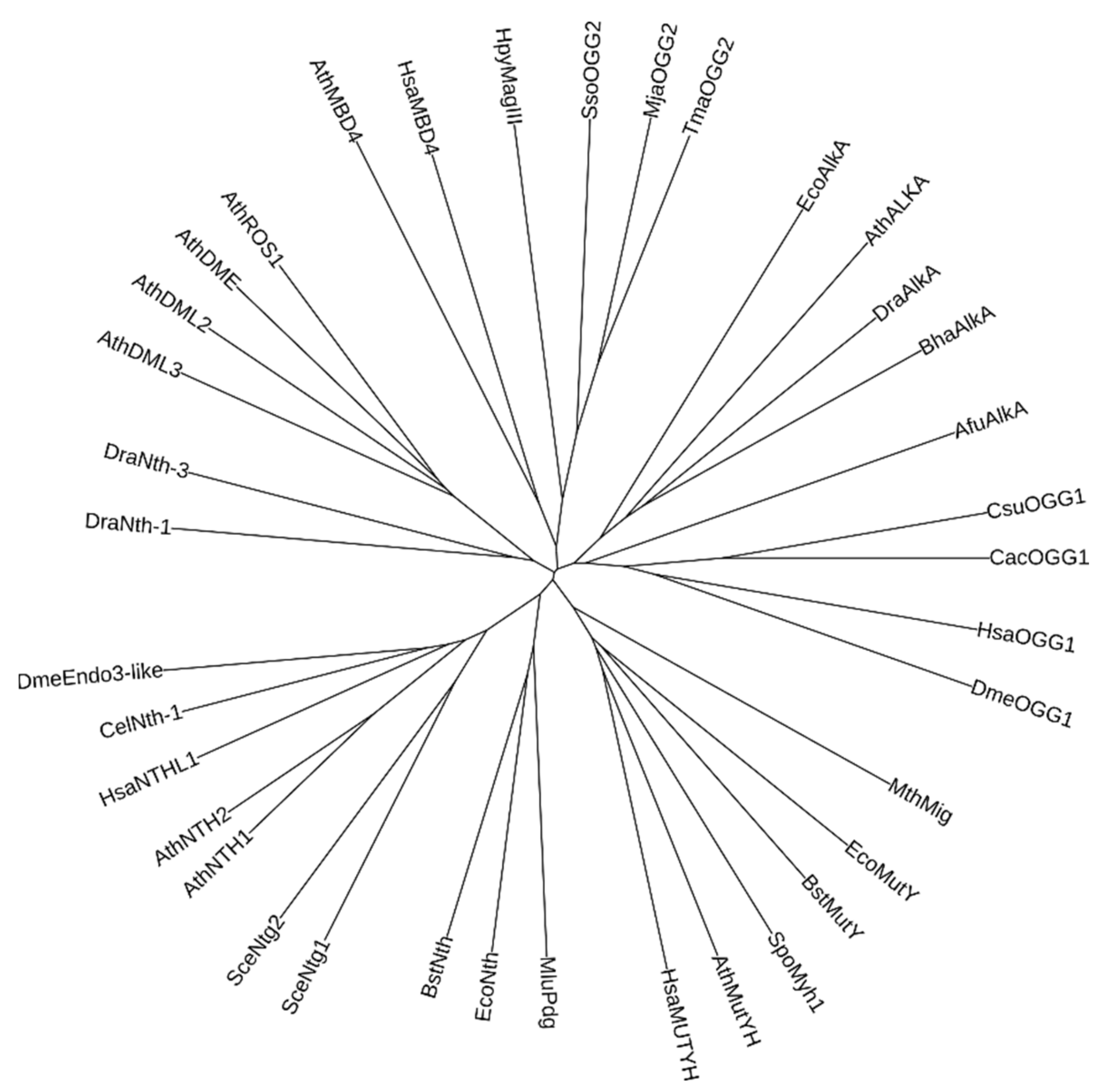 Cells 10 01591 g006 Cells 10 01591 g006