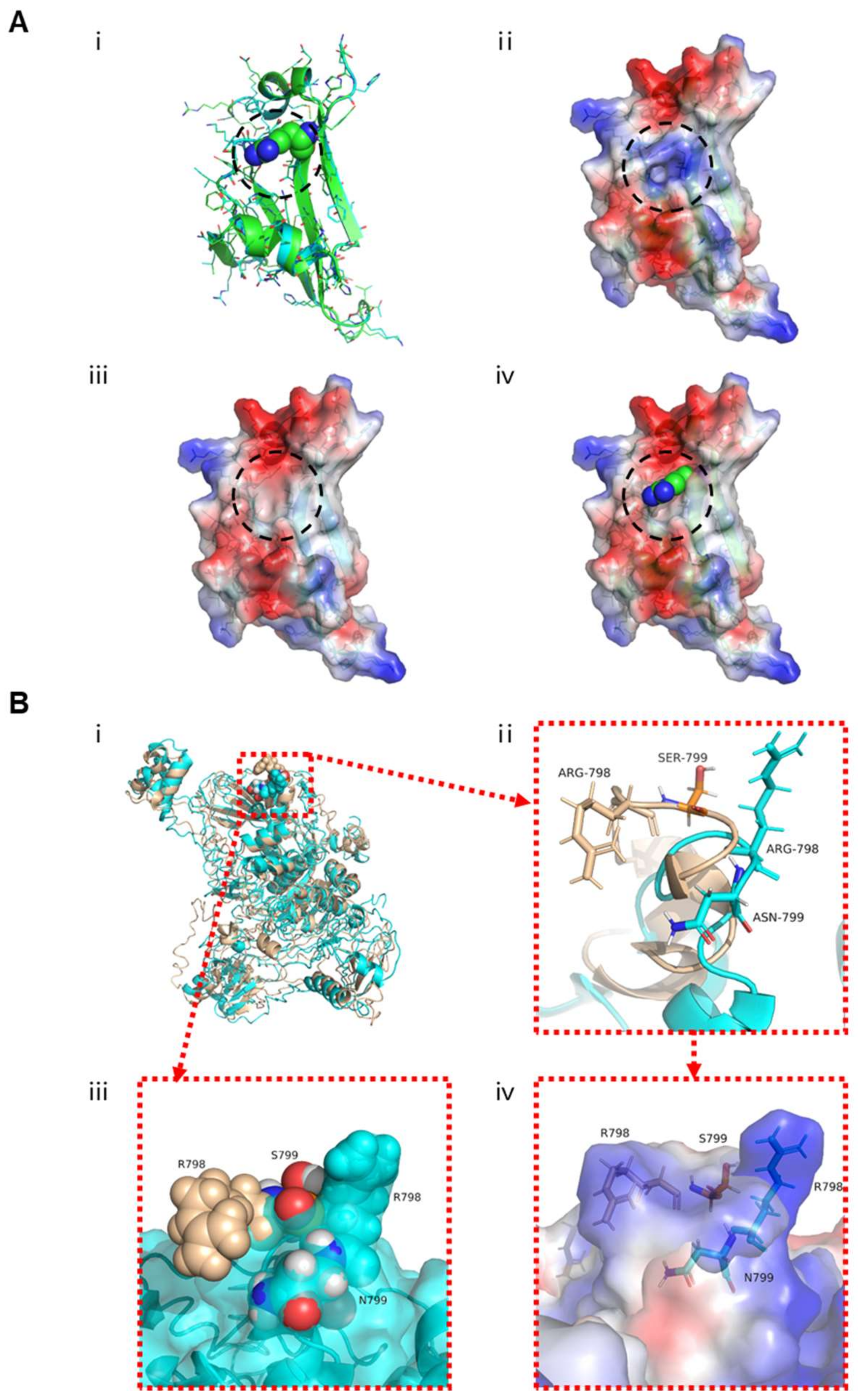 Cells 10 01594 g002 Cells 10 01594 g002