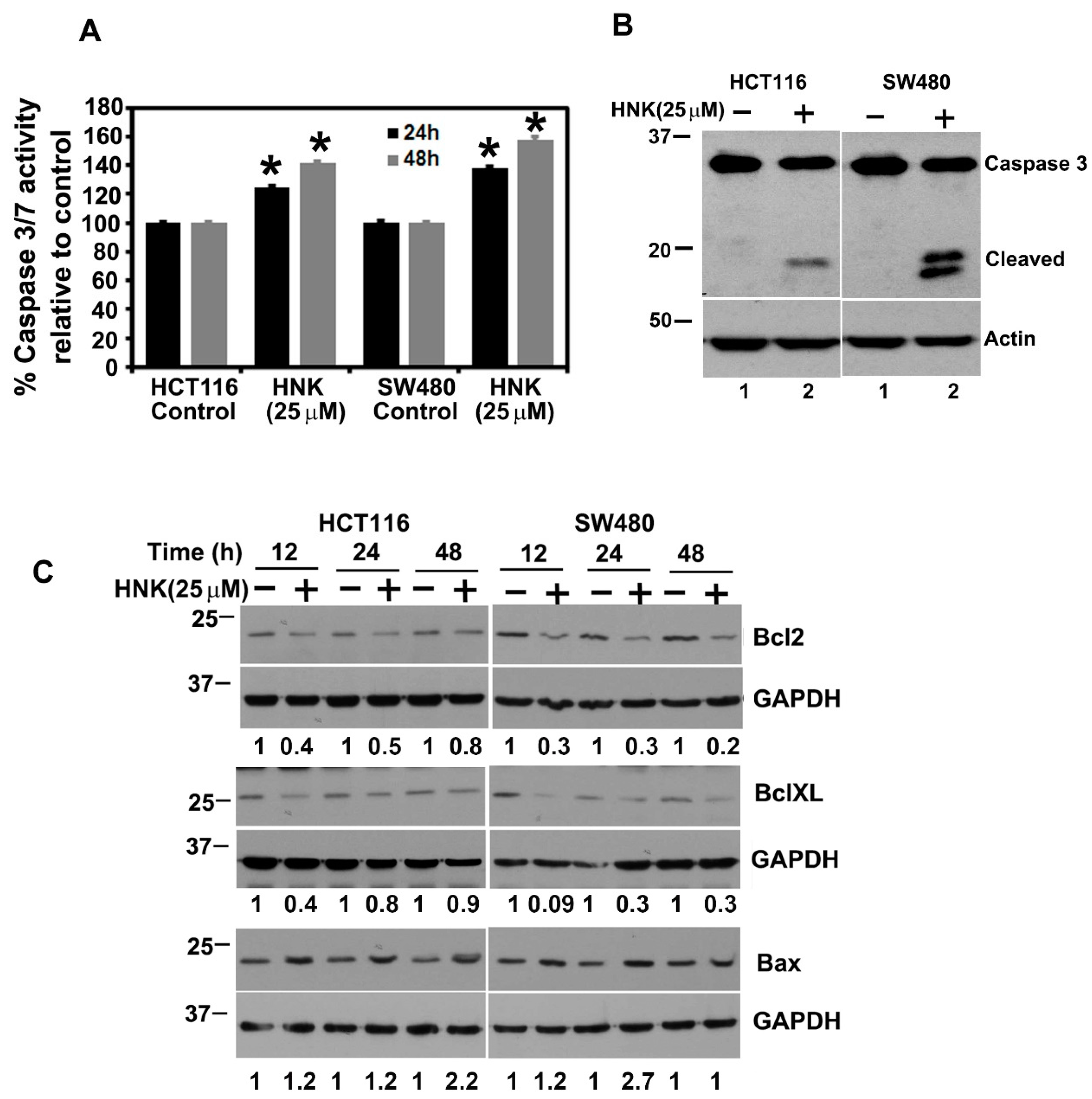 Cells 10 01607 g003 Cells 10 01607 g003