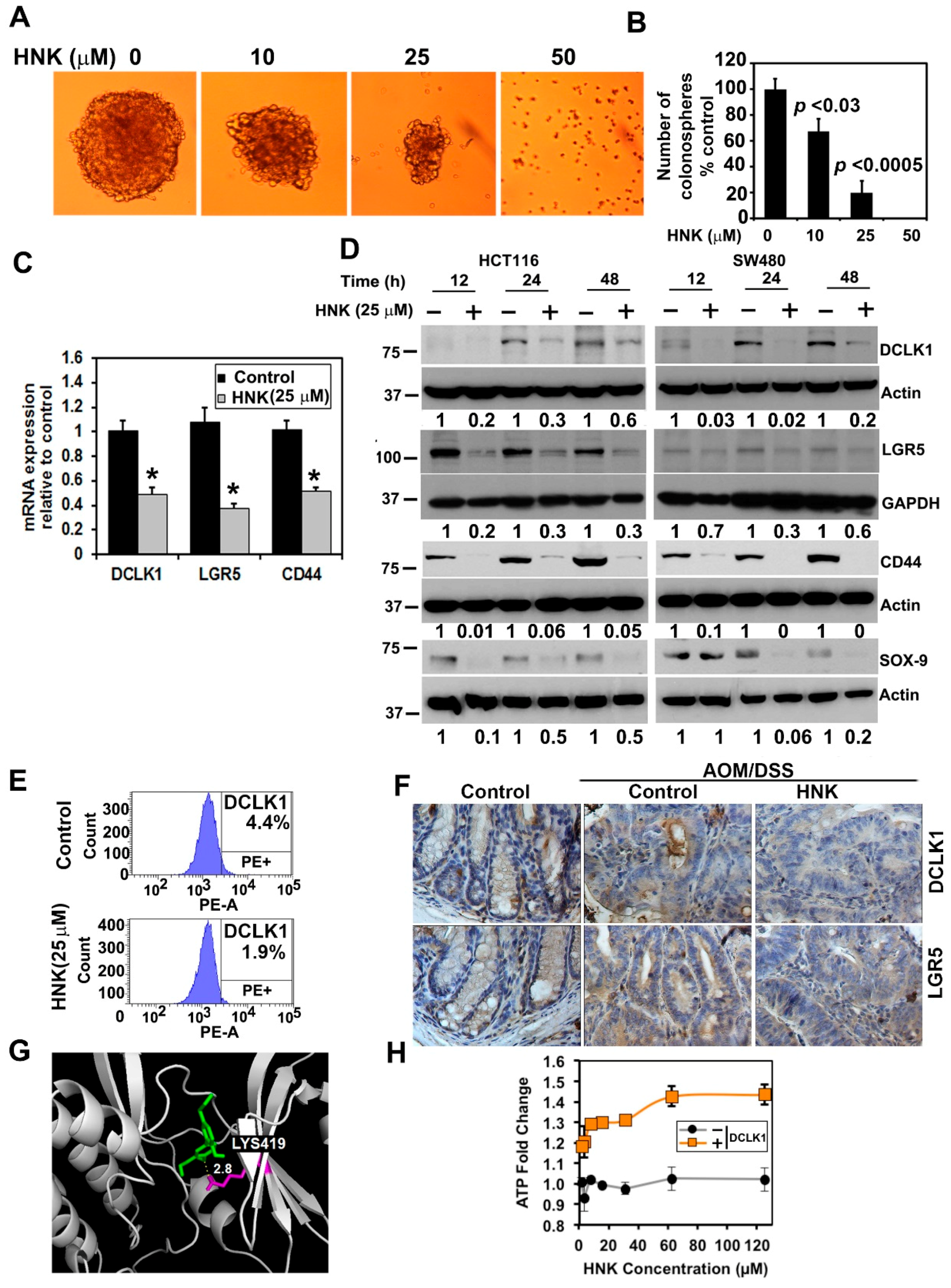 Cells 10 01607 g004 Cells 10 01607 g004