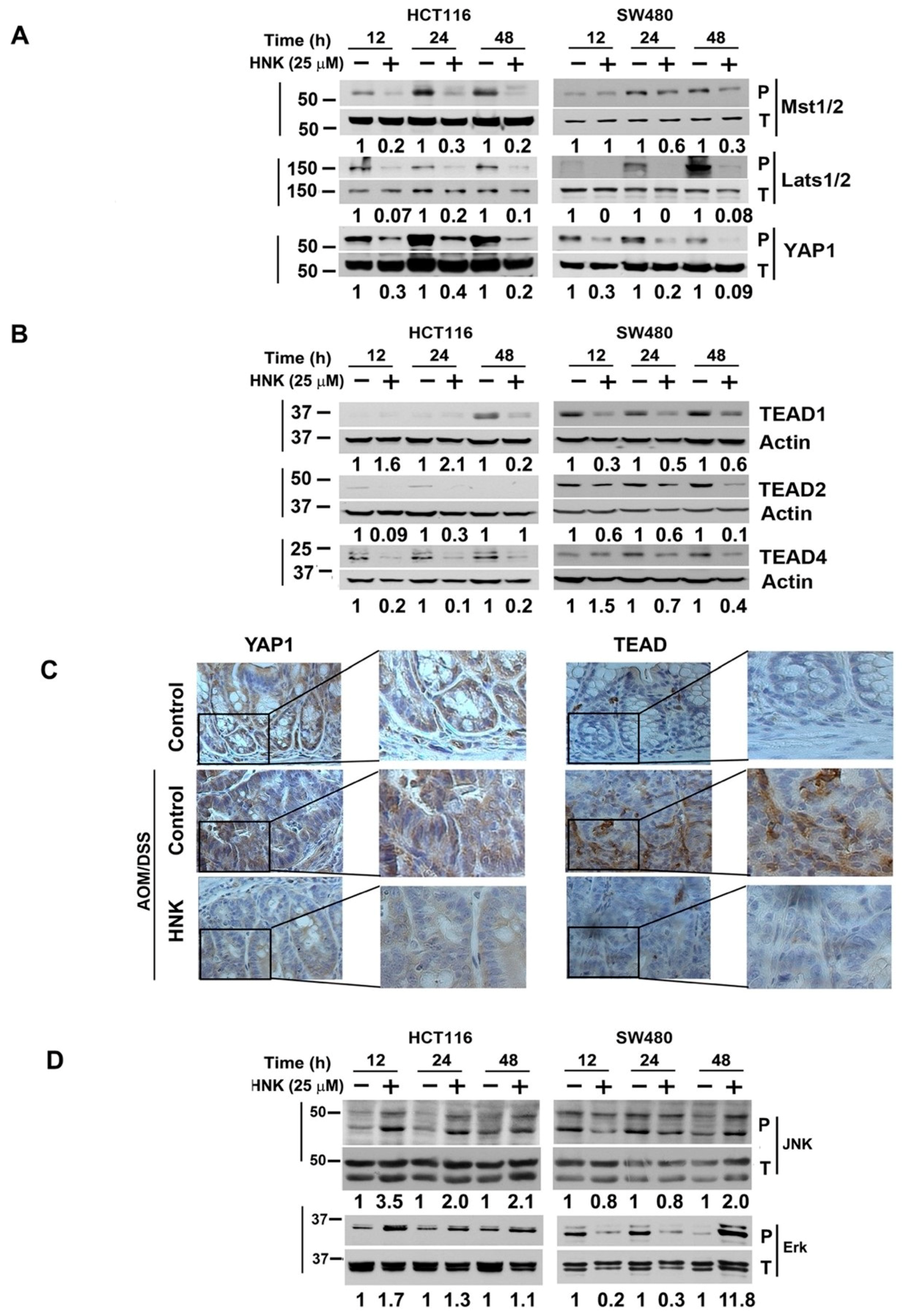 Cells 10 01607 g005 Cells 10 01607 g005