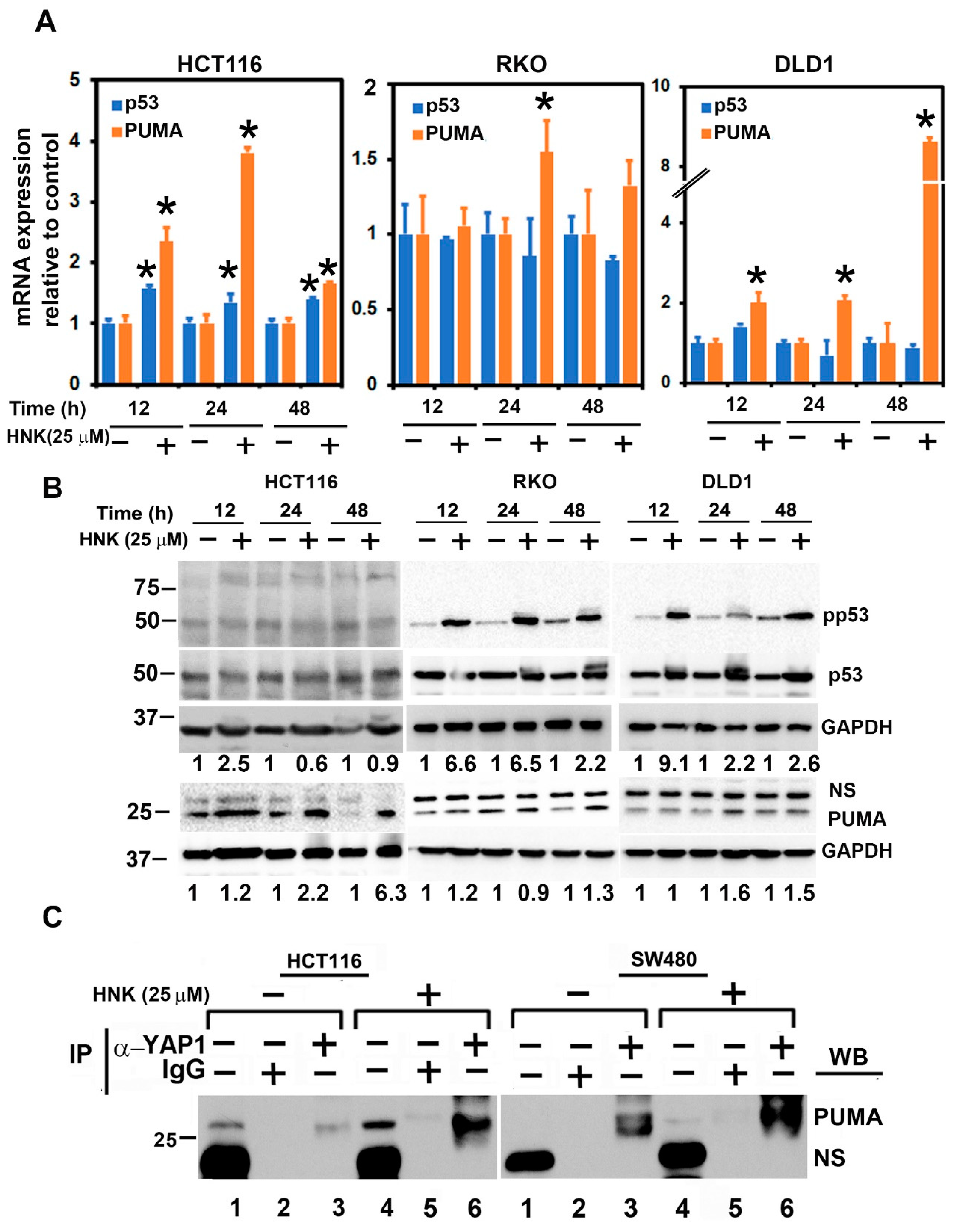 Cells 10 01607 g006 Cells 10 01607 g006