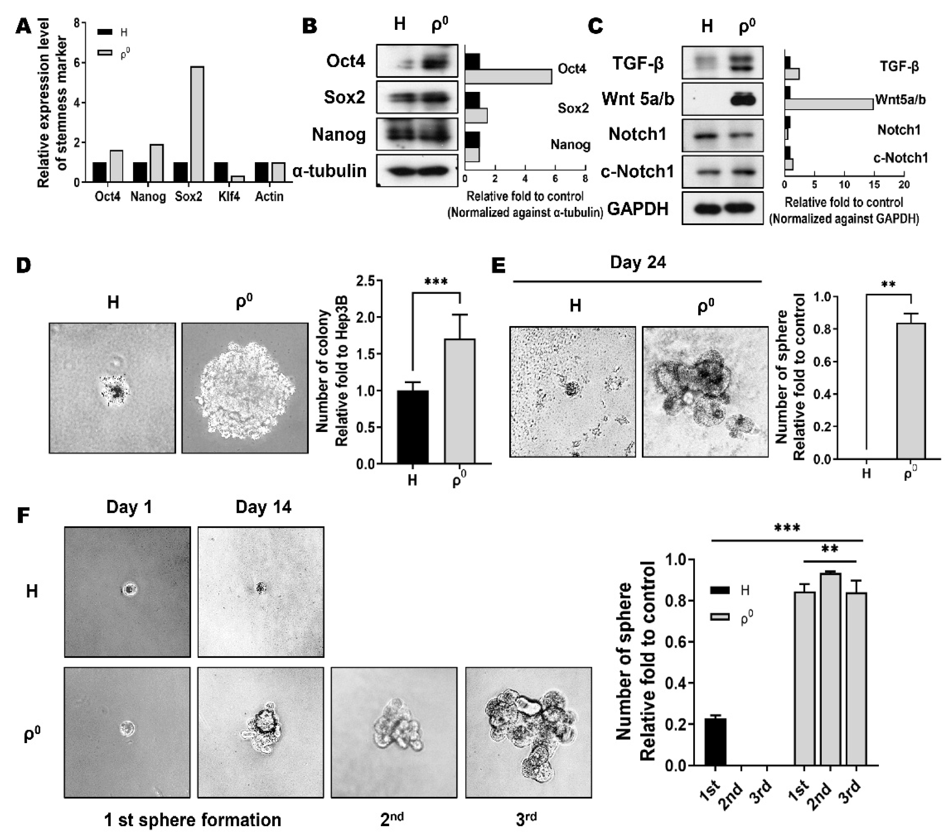 Cells 10 01608 g001
