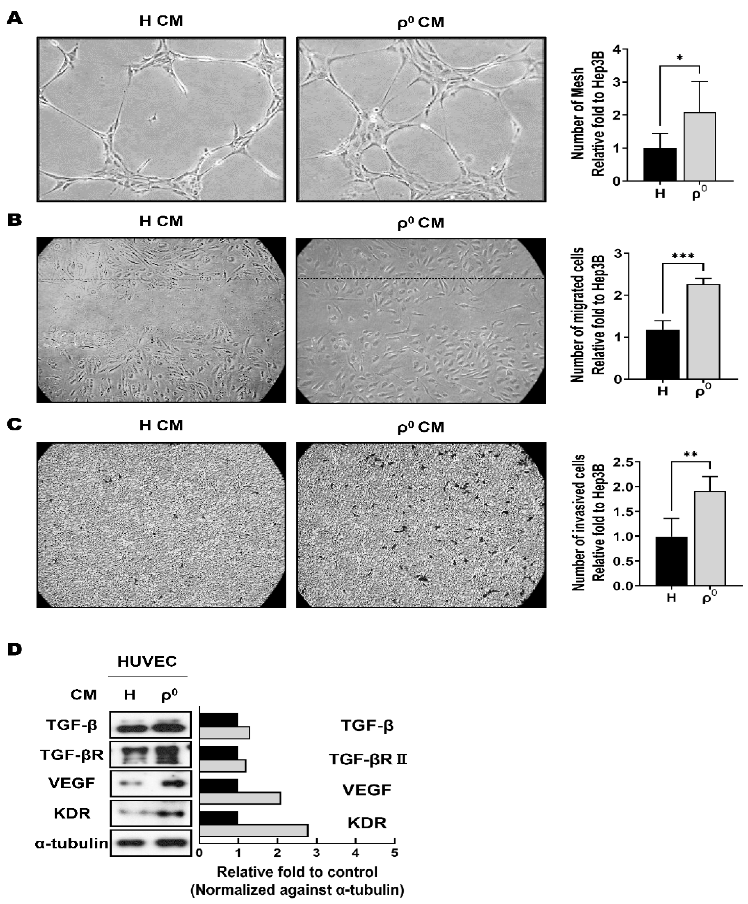 Cells 10 01608 g003
